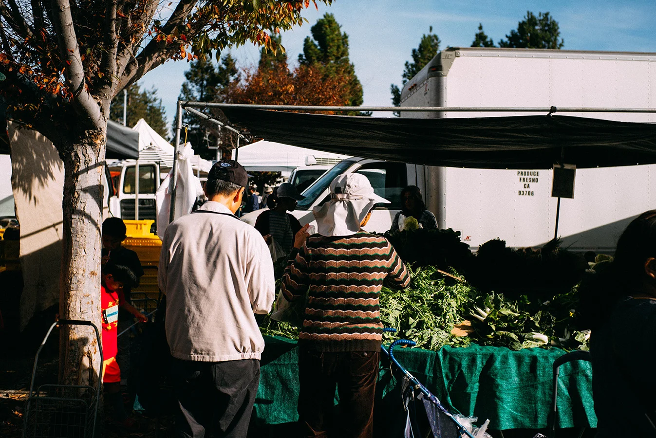 Mountain View Farmer's Market