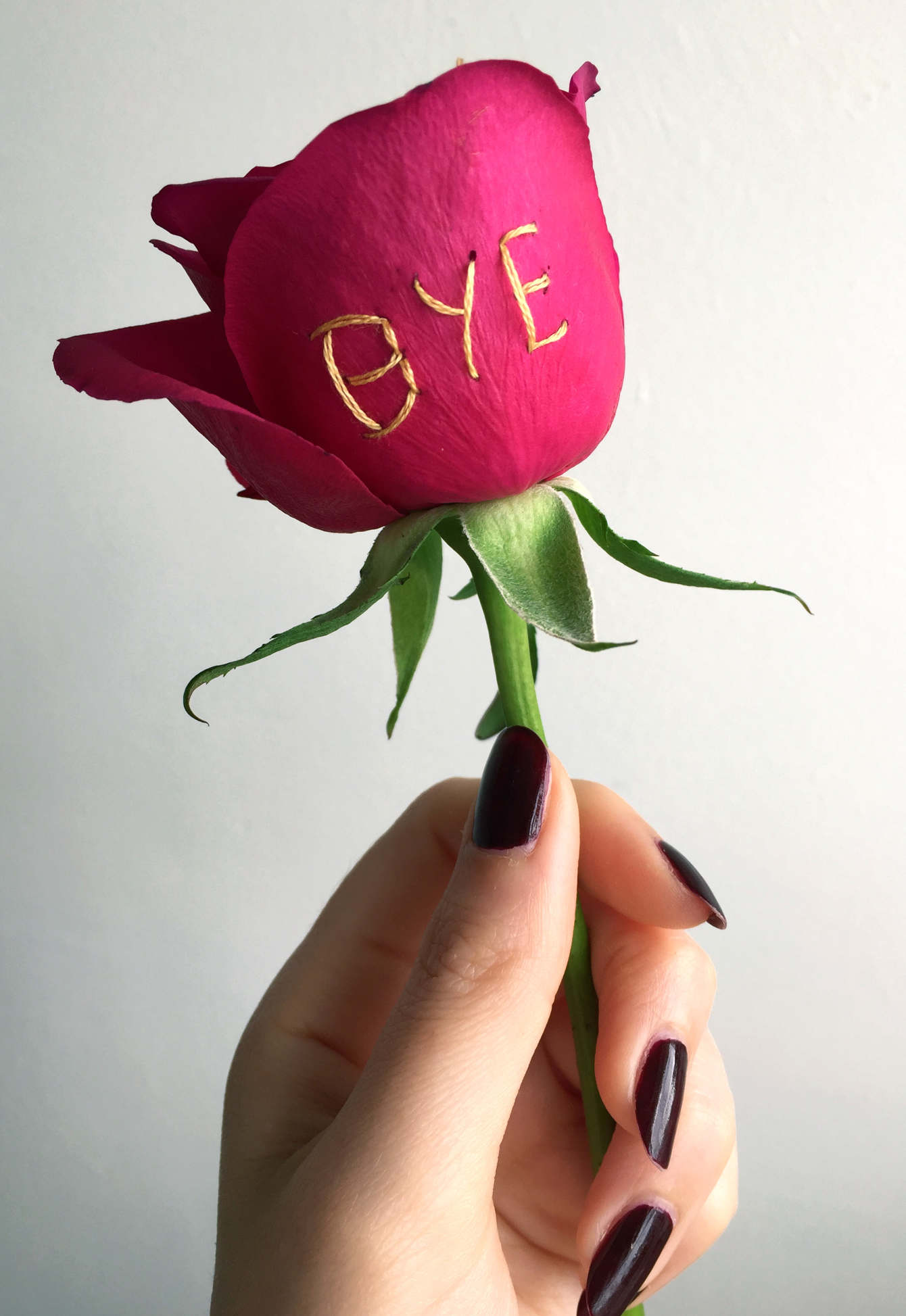 embroidered "bye" real rose, 2017