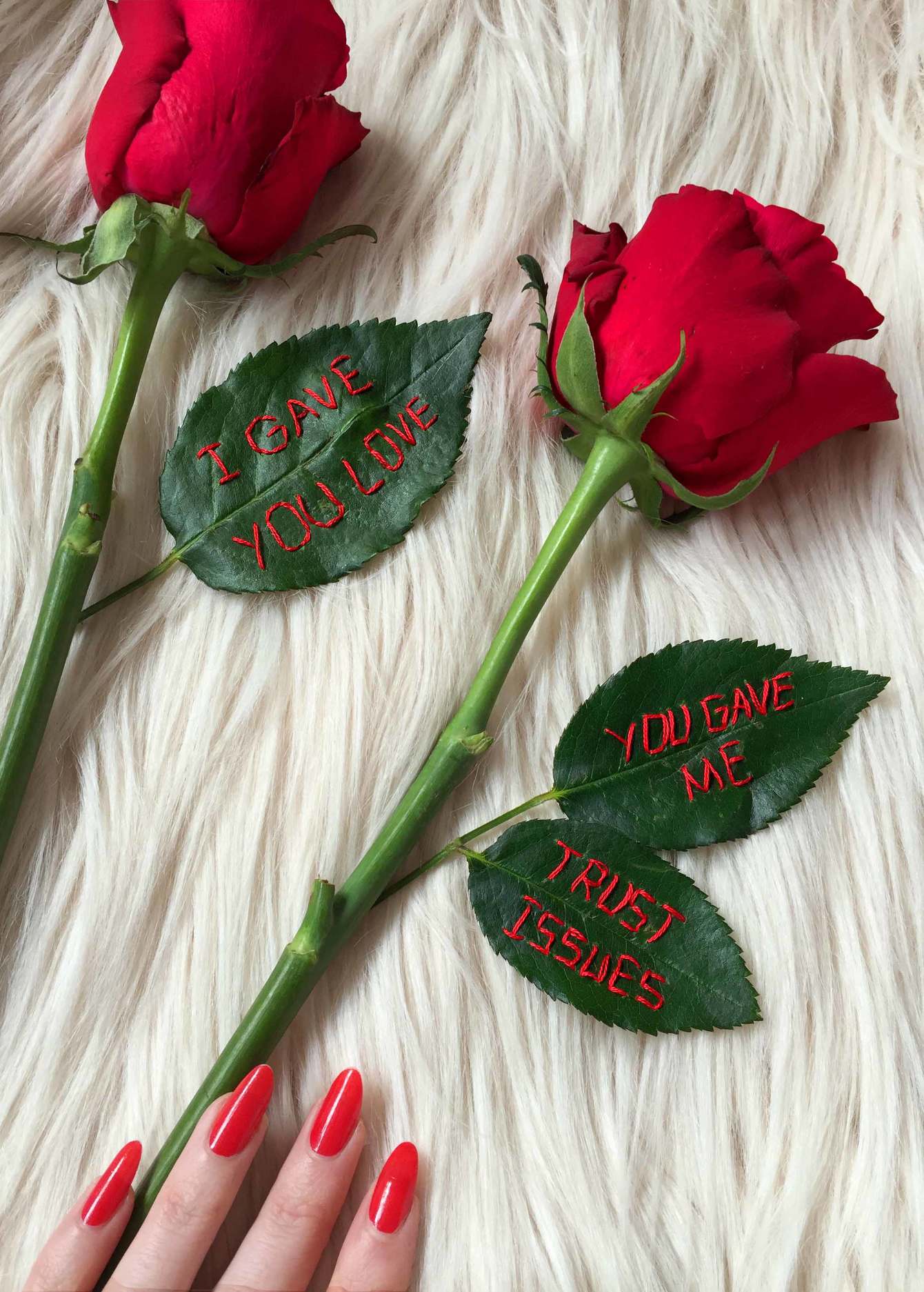 embroidered "I gave you love, you gave me trust issues" real rose, 2017, Sophie King