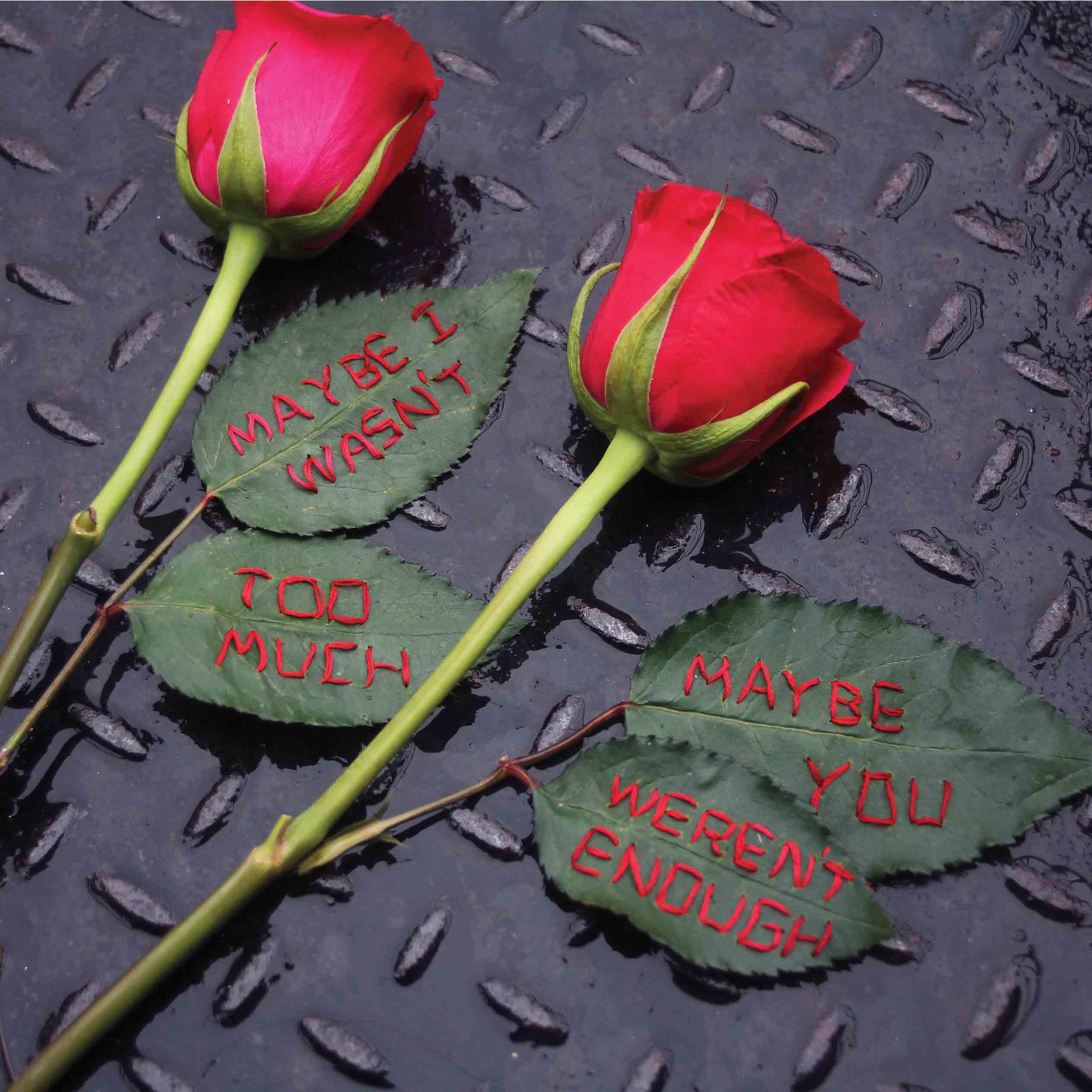 embroidered "maybe I wasn't too much, maybe you weren't enough" real roses, 2018, Sophie King