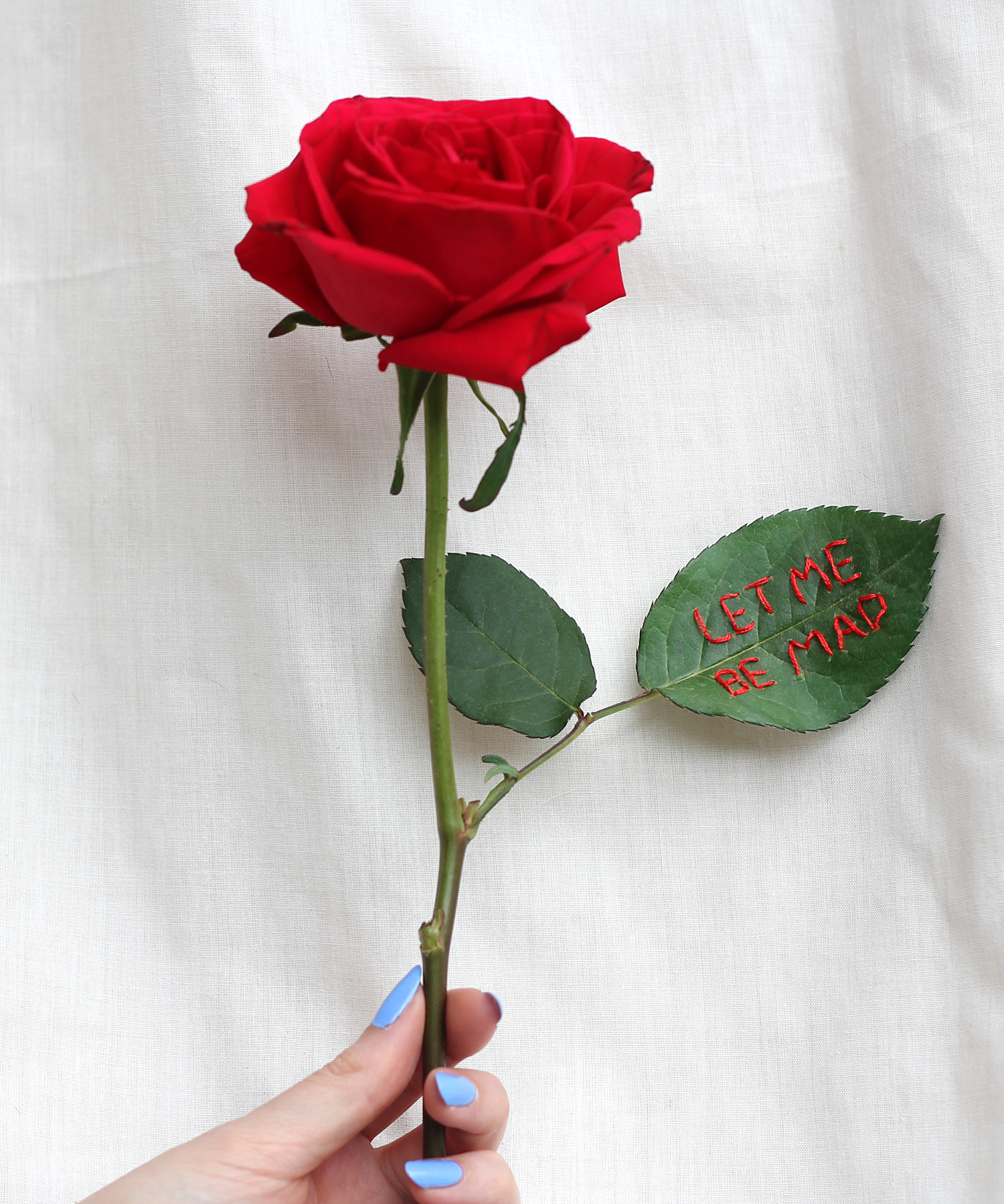 embroidered real rose "let me be mad" by Sophie King