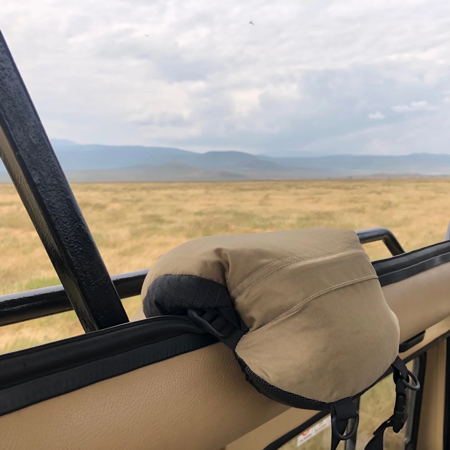 SafariSack Beanbag