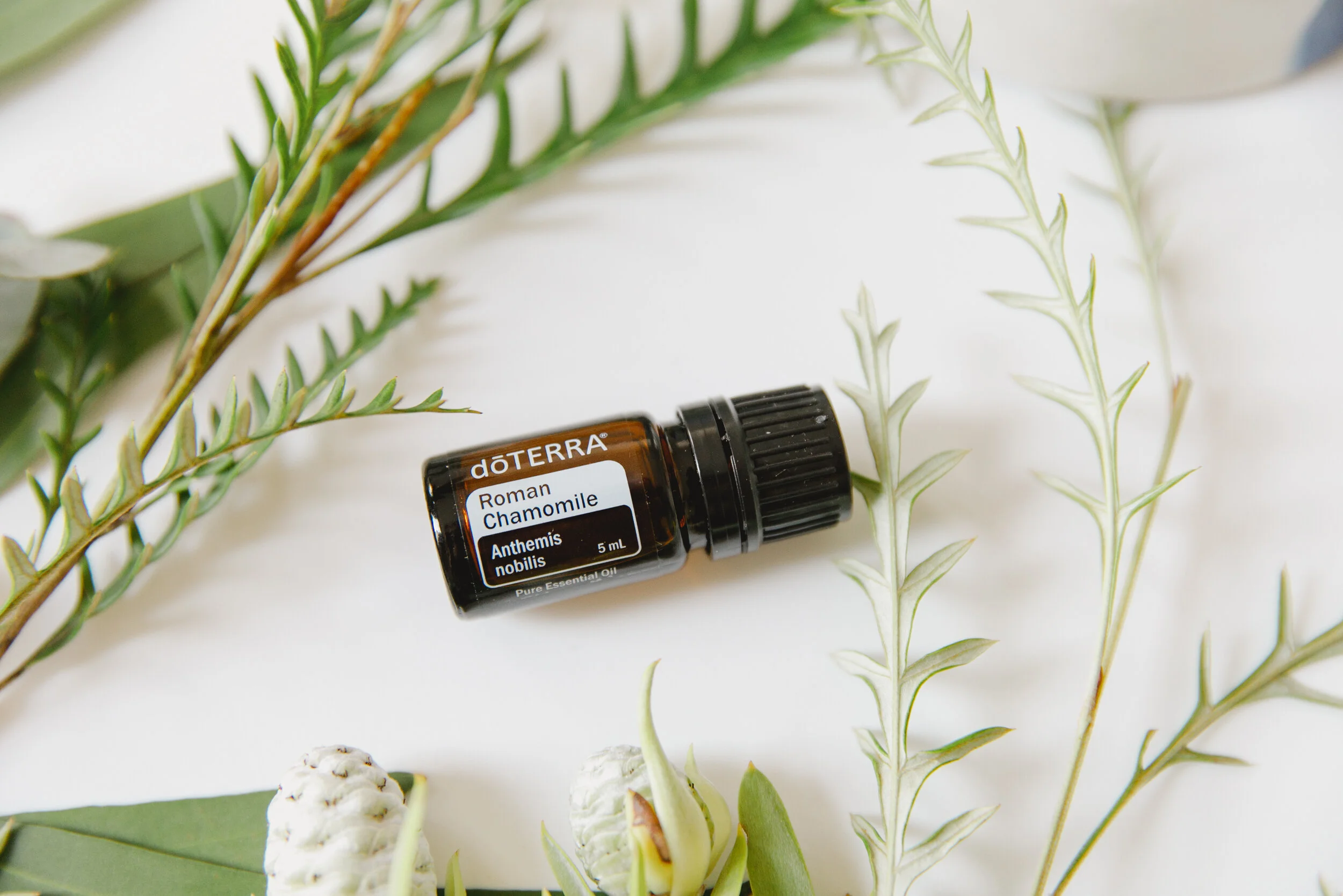 roman chamomile 5ml.jpg