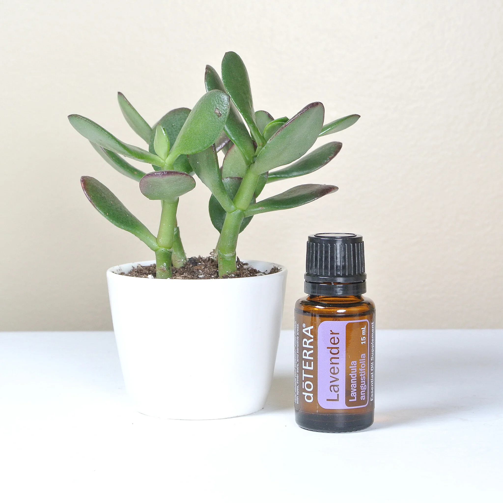 Lavender and Tea Tree are Hormone-Friendly oils