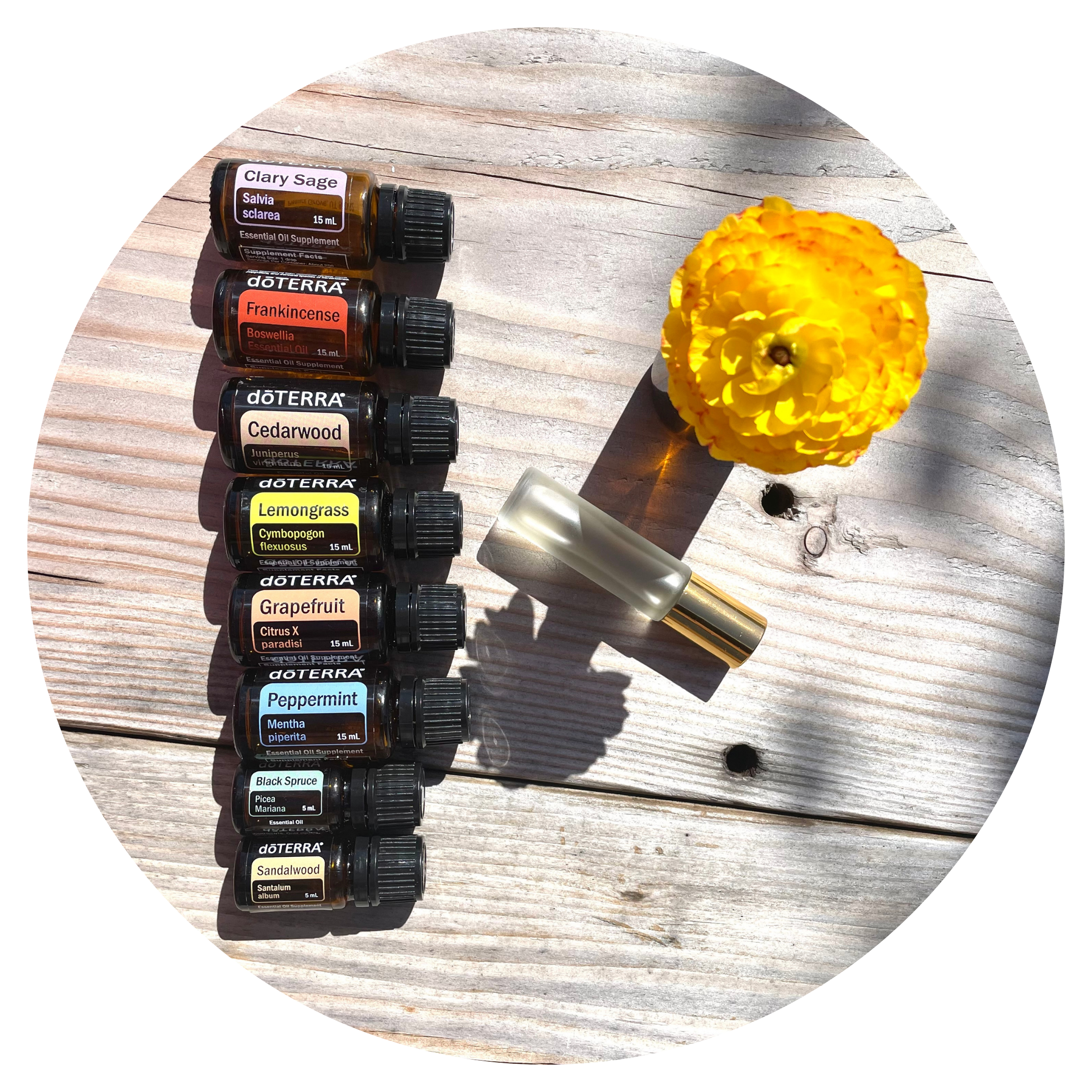 Untitled design (25).png