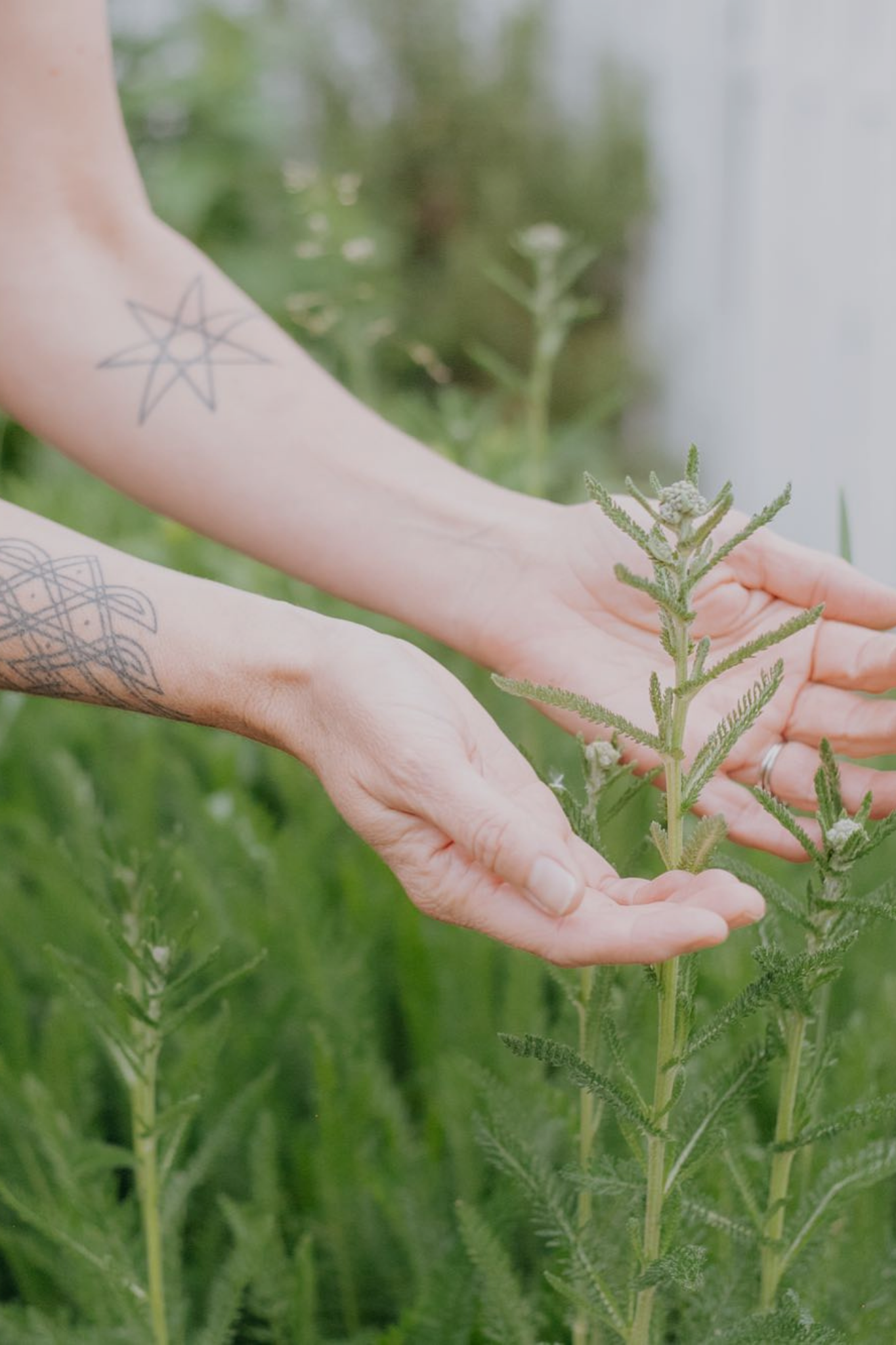 Untitled design (7).png