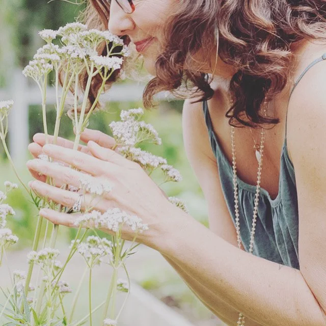 Are Plug-In Air Fresheners Safe? What the Label Isn't Telling You