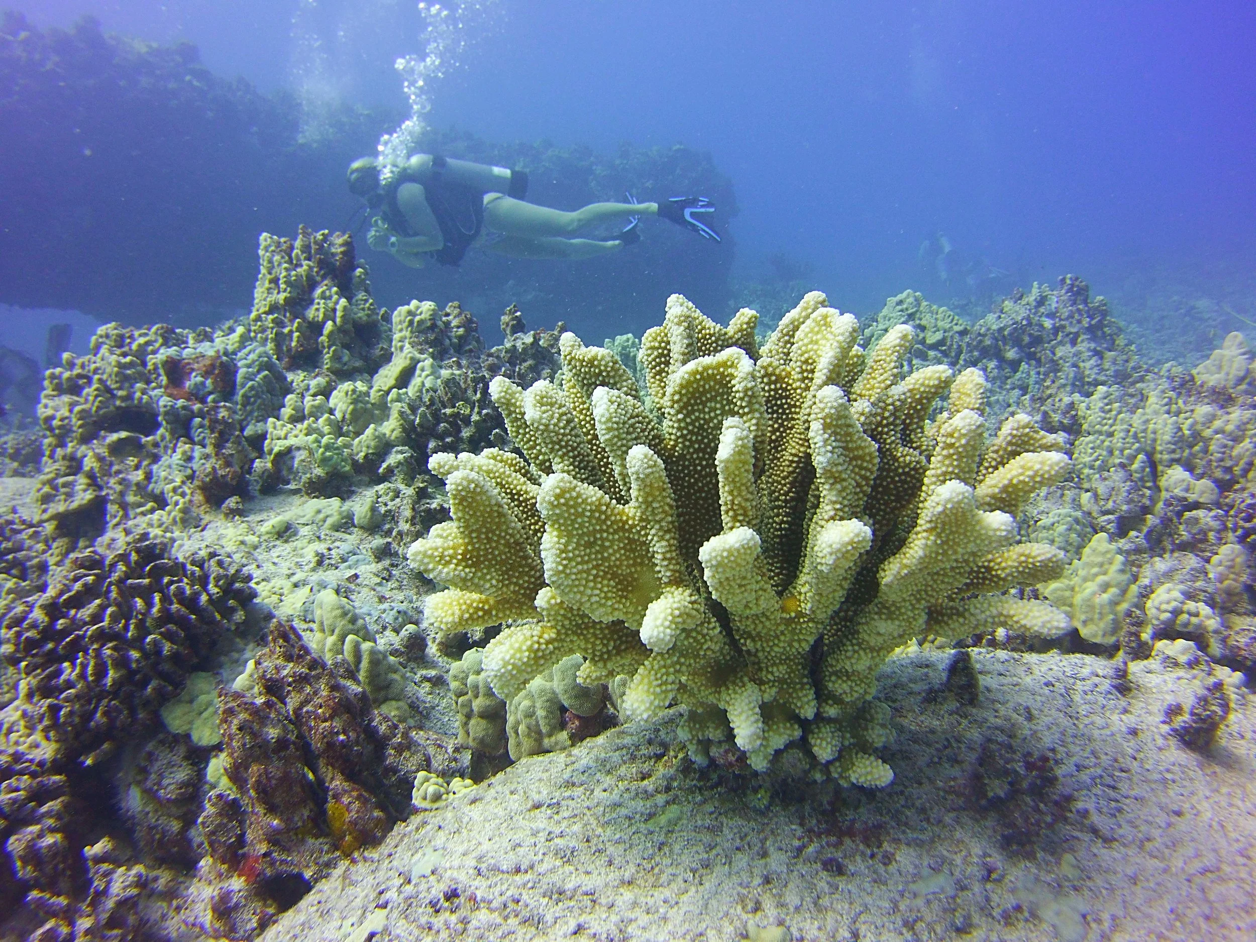 IMG-5990.JPG