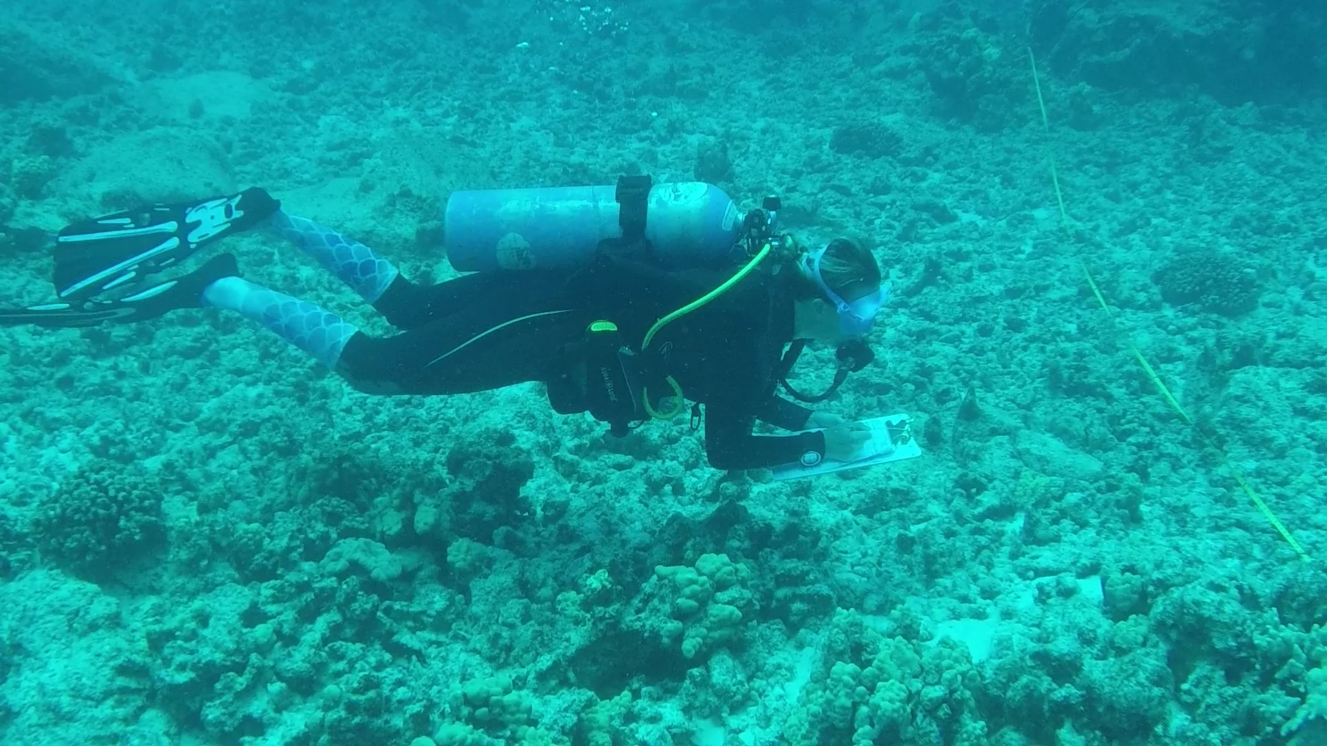 Tara invert 3.jpg