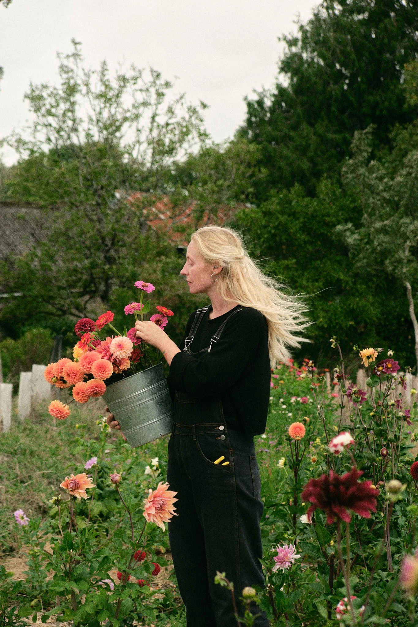 Ferme florale Du Vent dans les Fleurs