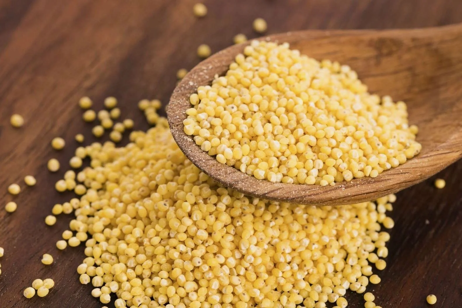 Histoire et mille et une vertus du millet