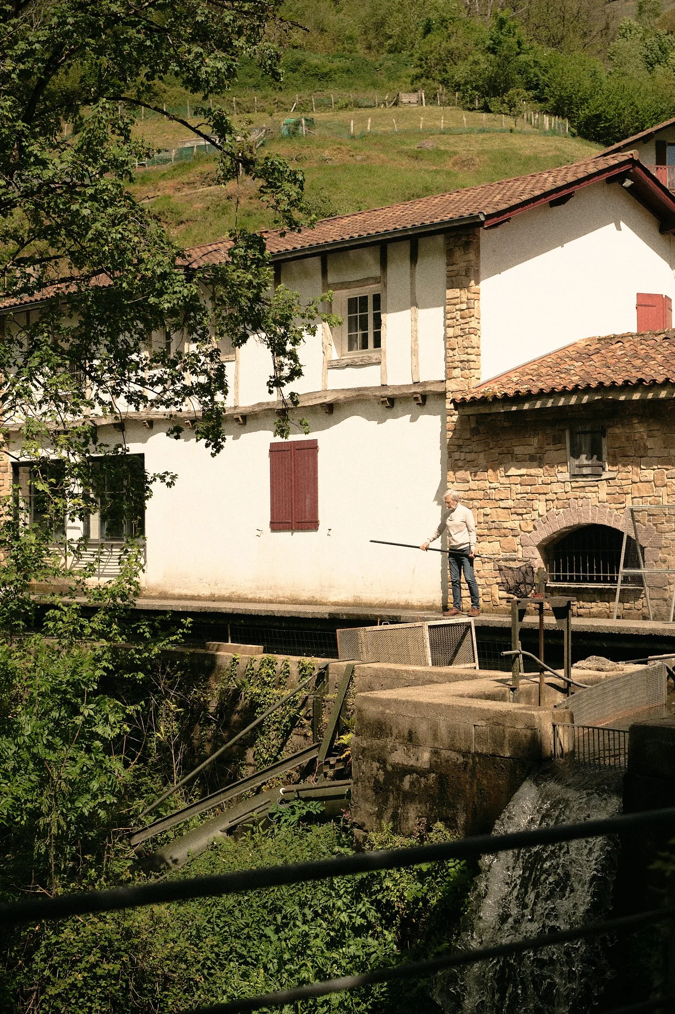 régal-banka 5.jpg