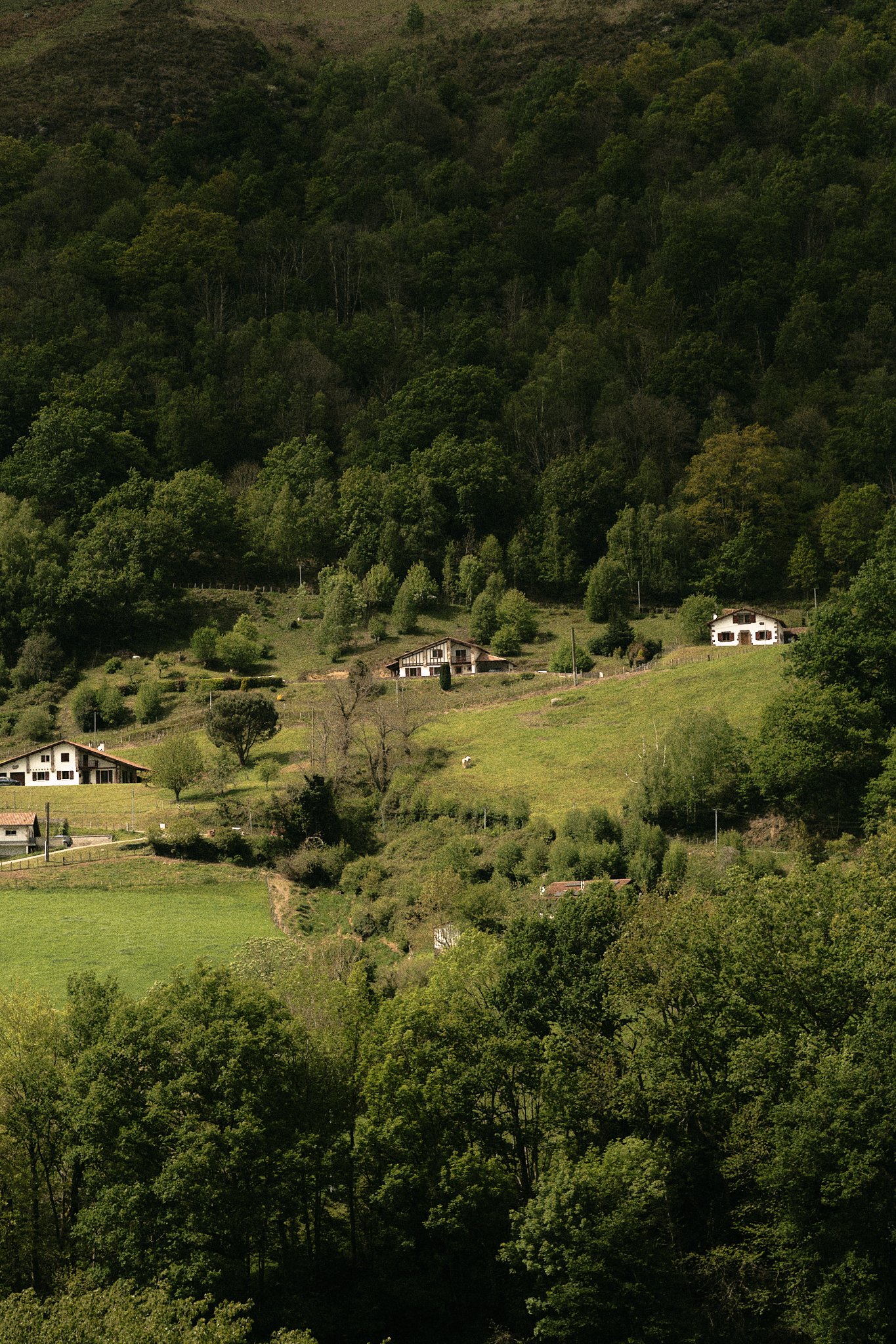 régal-banka 12.jpg