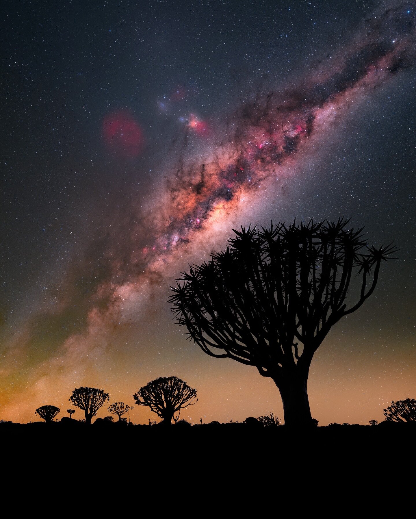 Quiver Tree

Not long to go now and I will be back in the southern hemisphere in Namibia shooting some of the darkest skies I ever have. There&rsquo;s still two spots remaining on our tour that im hosting with @burakesenbey for more info check my web