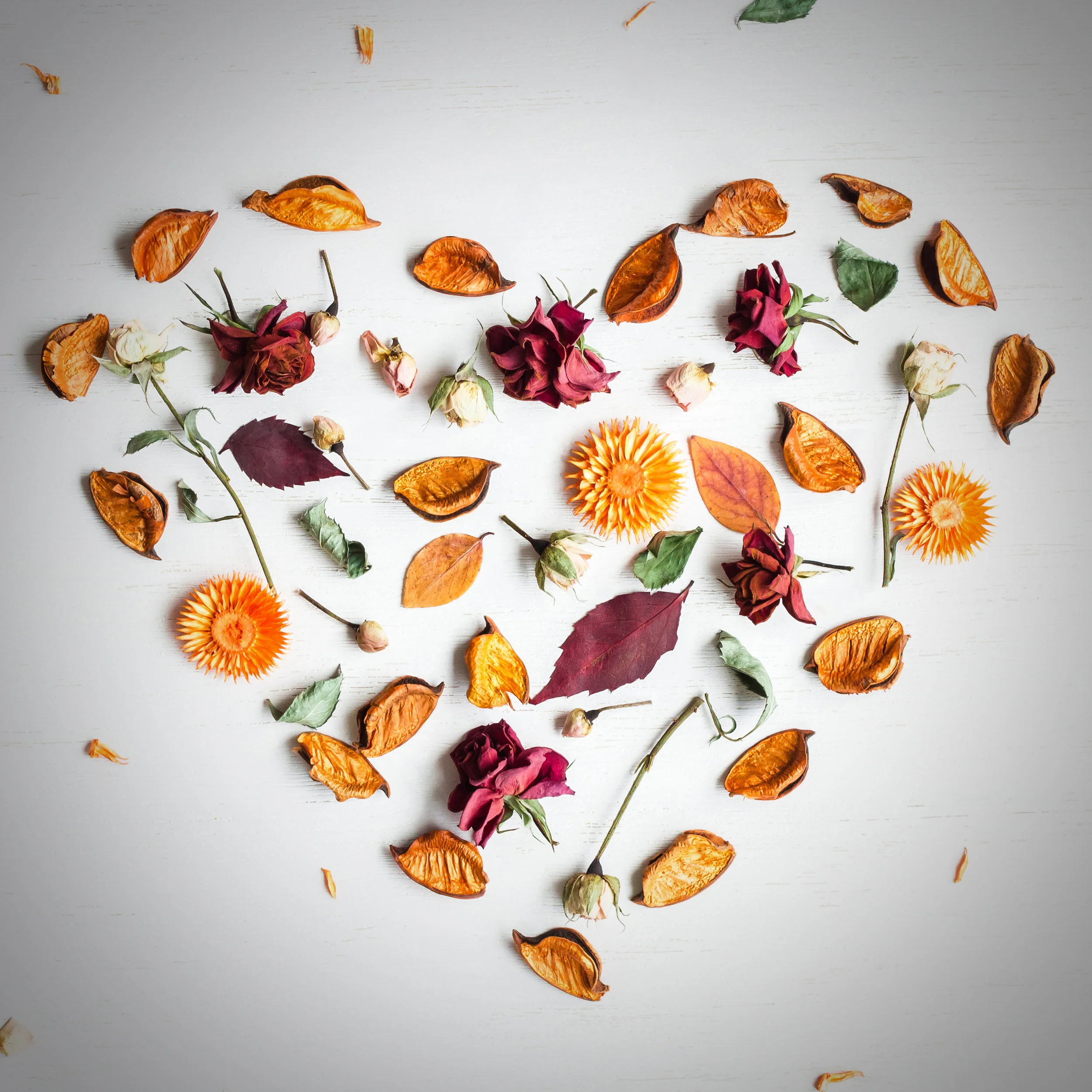 shutterstock_461527846.2.jpg
