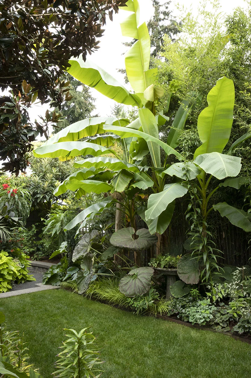 Lisa Bauer - designer_s garden_1299.jpg