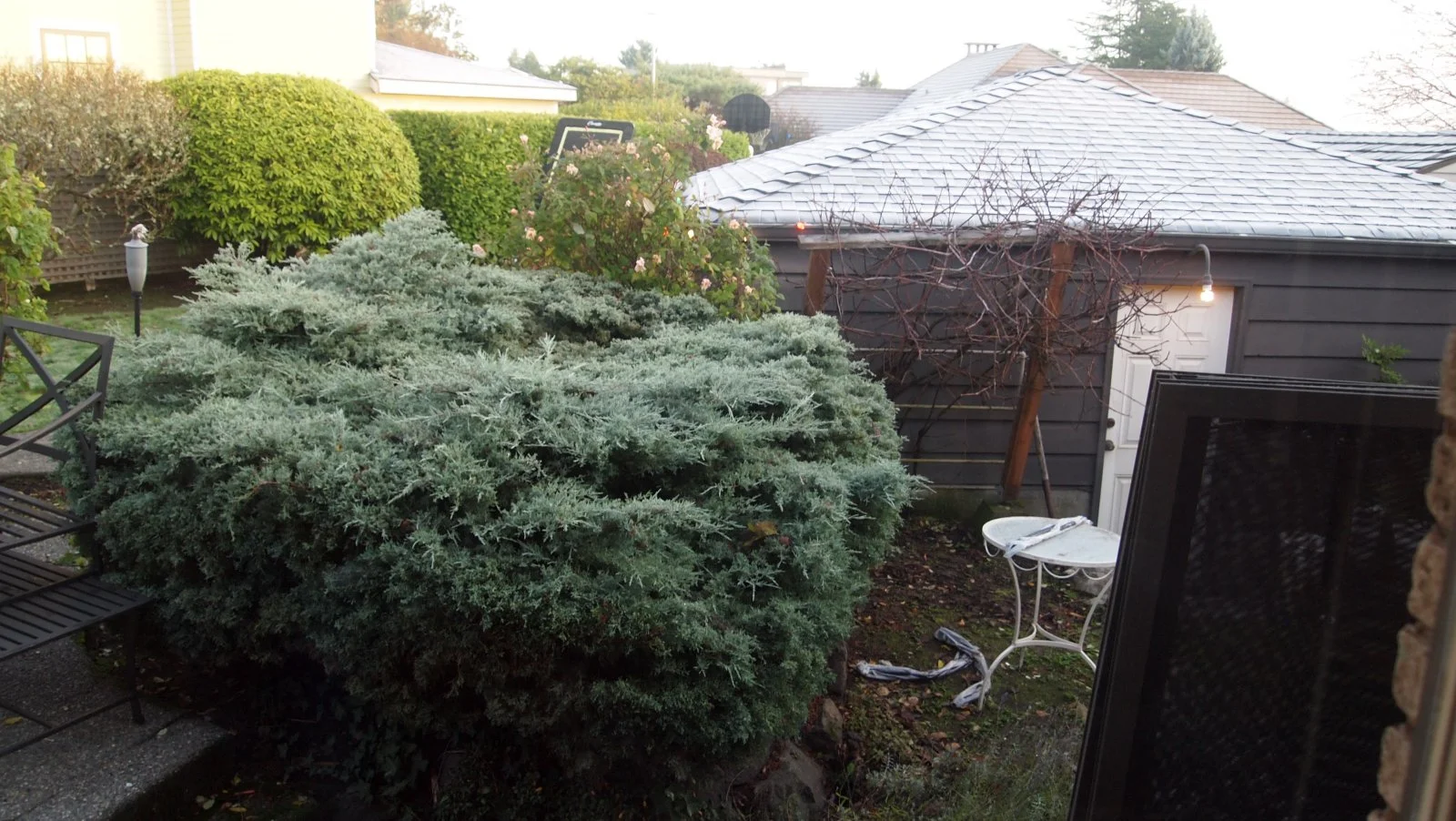 Game Terrace area ‘Before’