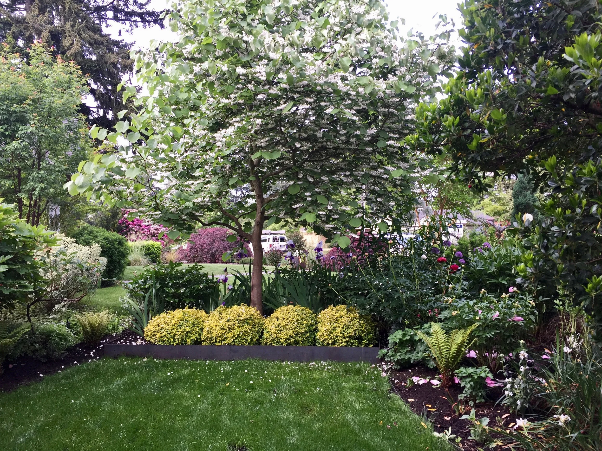 STEEL LAWN EDGING & RETAINING