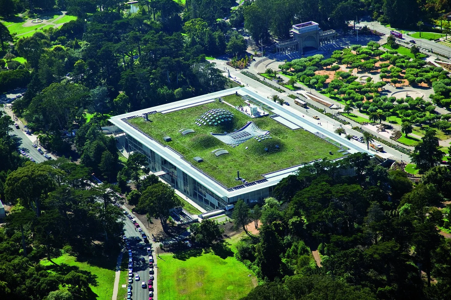 10 Examples of Biomimicry Architecture — theorangeryblog.com