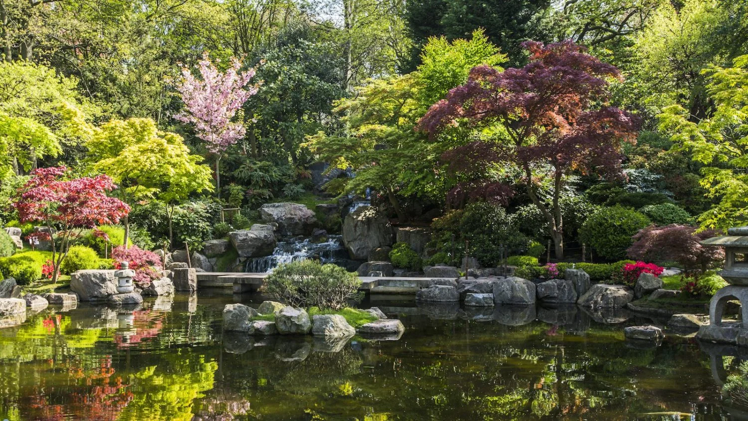 The 7 Best London Proposal Ideas