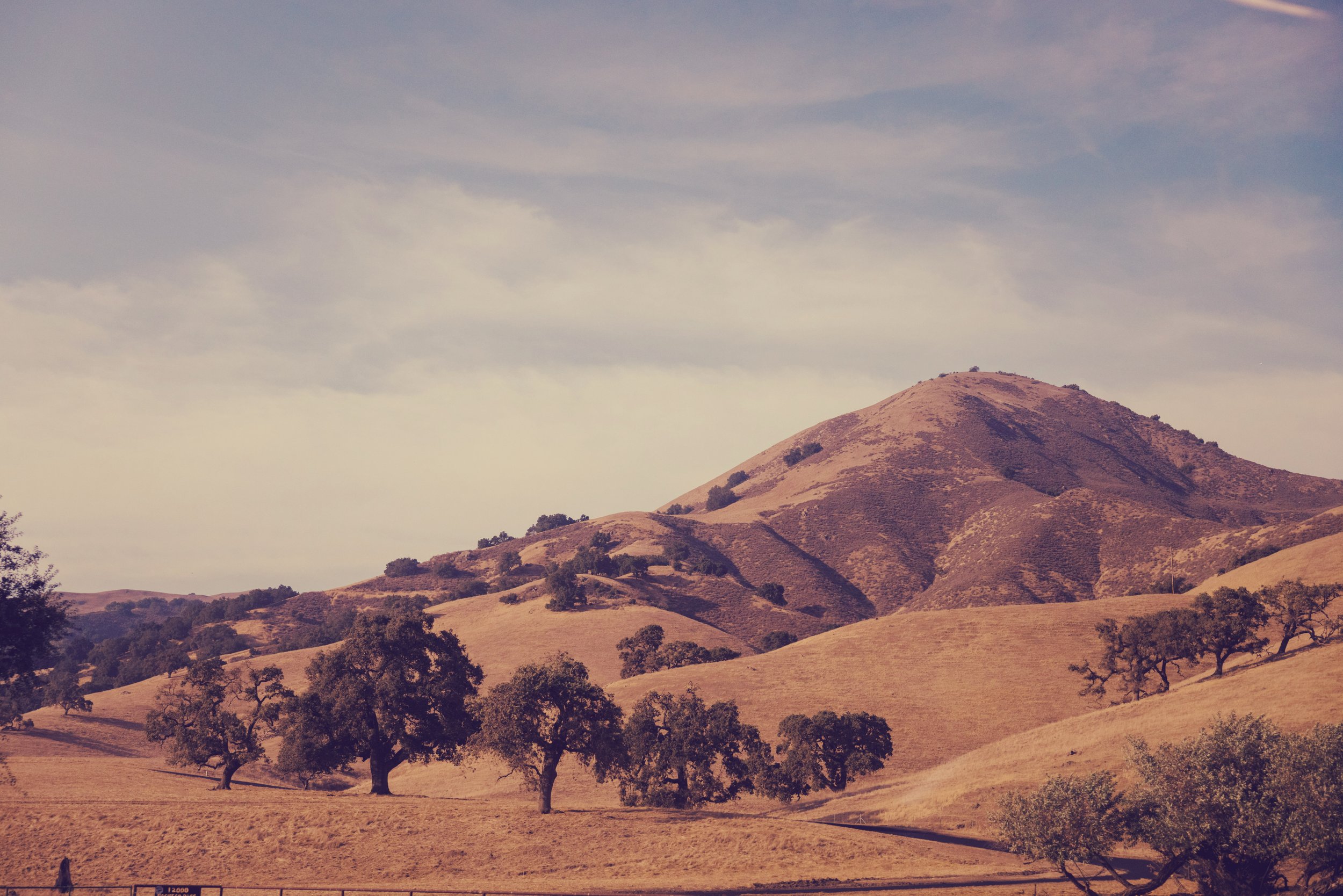 Not a Subscription Service