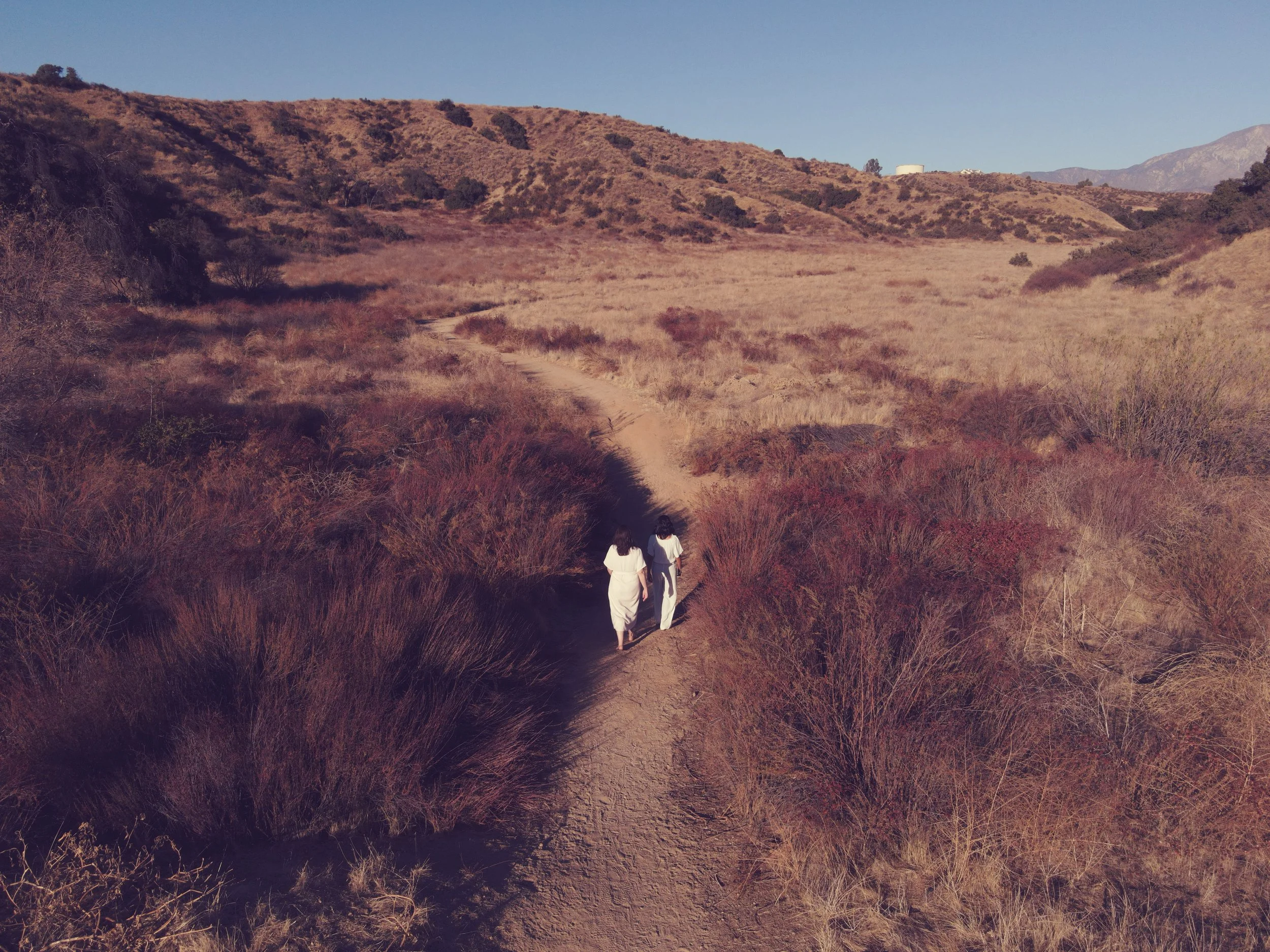 Honoring Collective Stress 