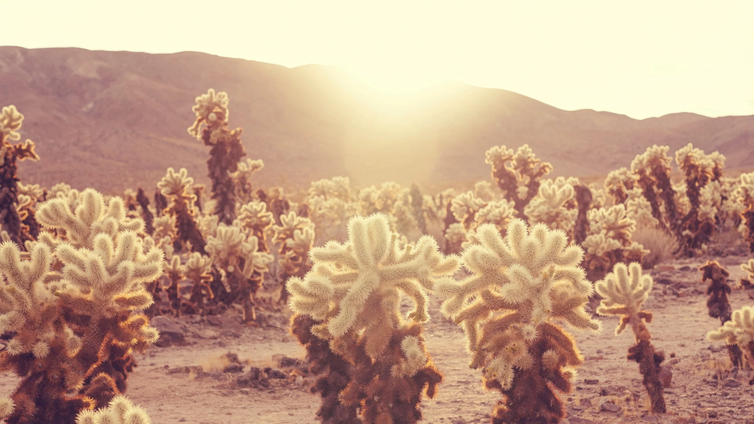 Sustainability Practices at Work