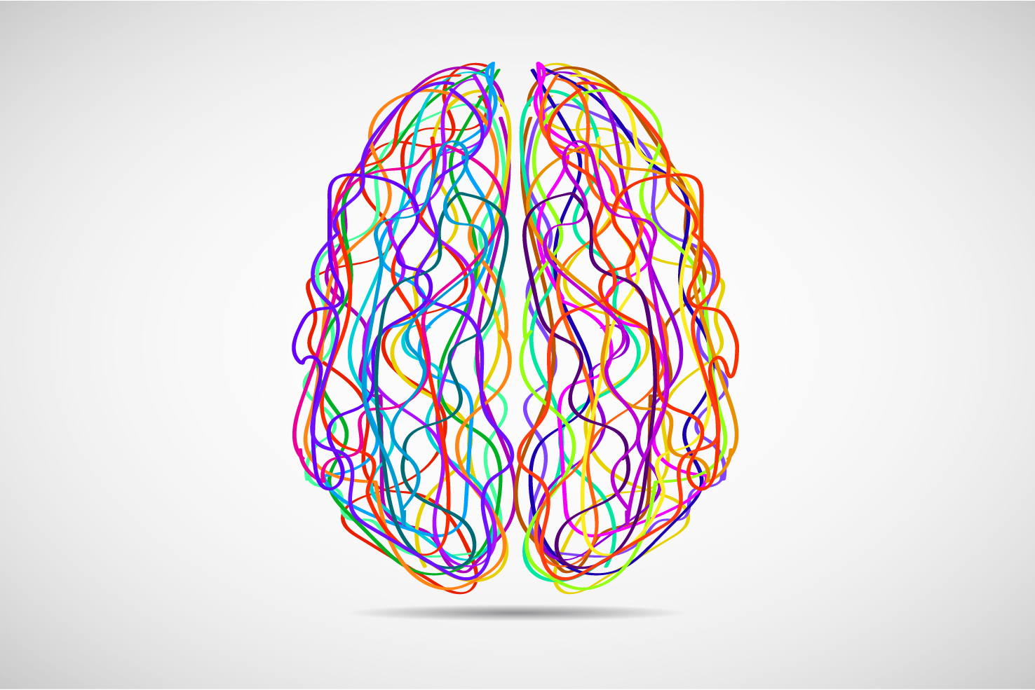 understanding the brain-01.jpg