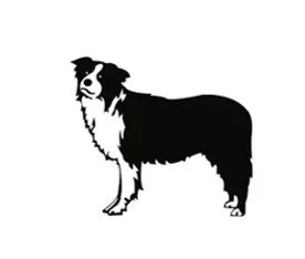 australian shepherd apparel