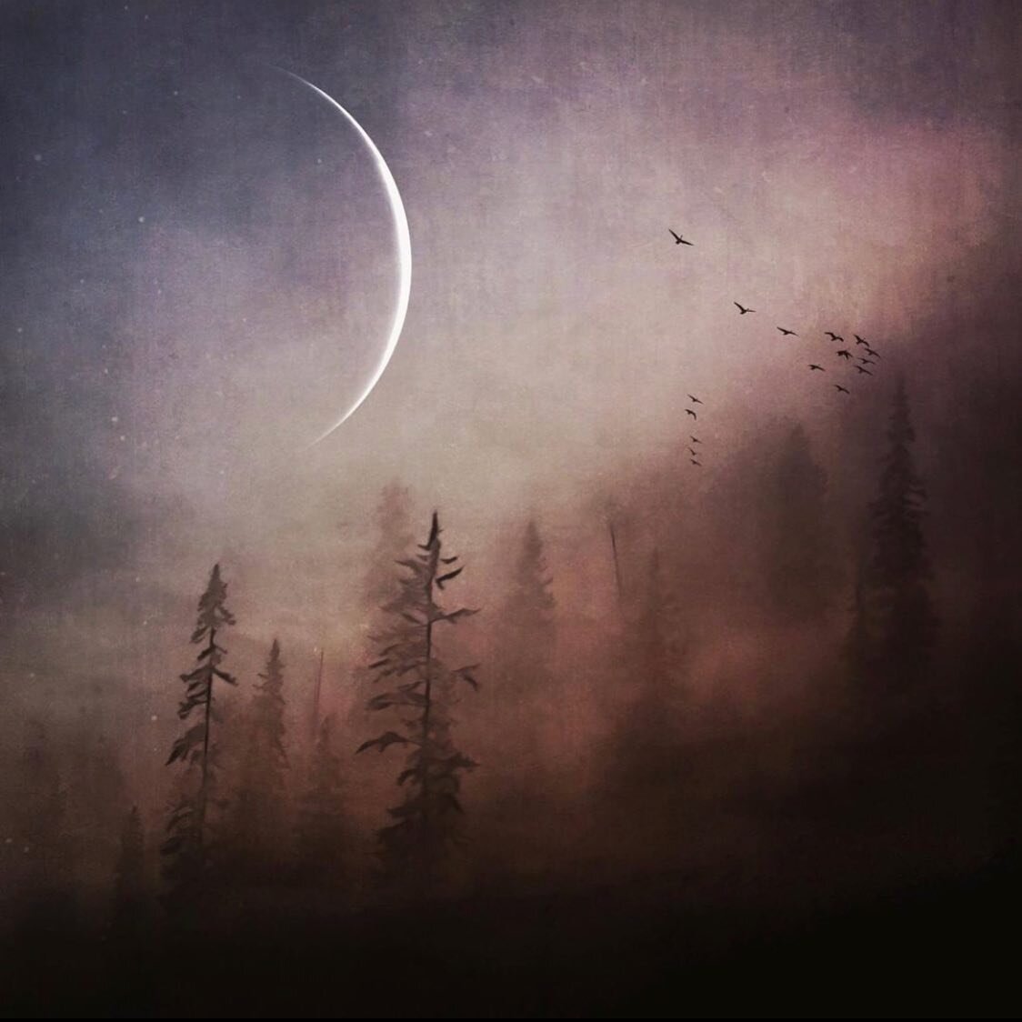 New moon blessings.
✨🌑✨
Aazav is composed of lots of Virgo &amp; Libra (Vibra) power.🕯Setting intentions of flow, gratitude &amp; self care.
✨🌑✨
Here we are at the close of the season. Equinox waits in the wings.
🕯Pausing before the new cycle. Mo