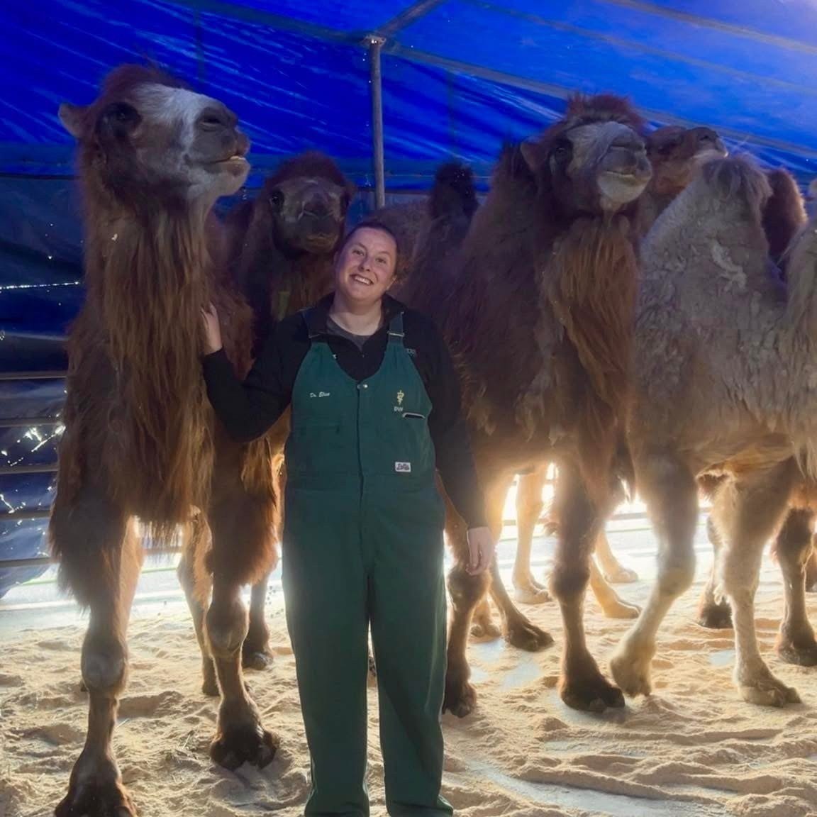 elise camel.jpeg