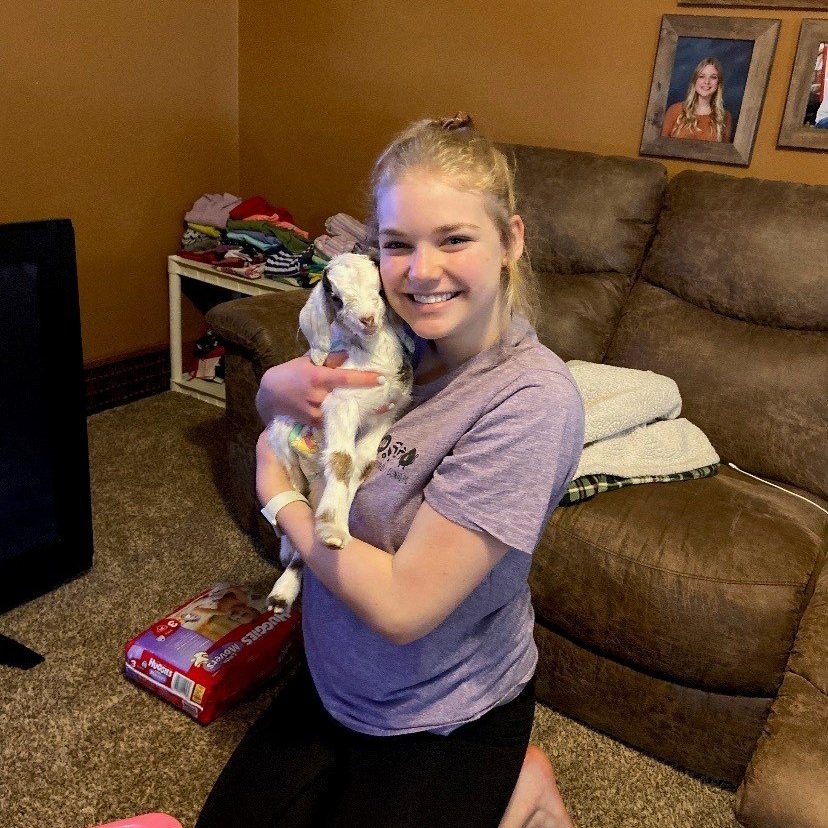 The Team — Beresford Vet Clinic PC