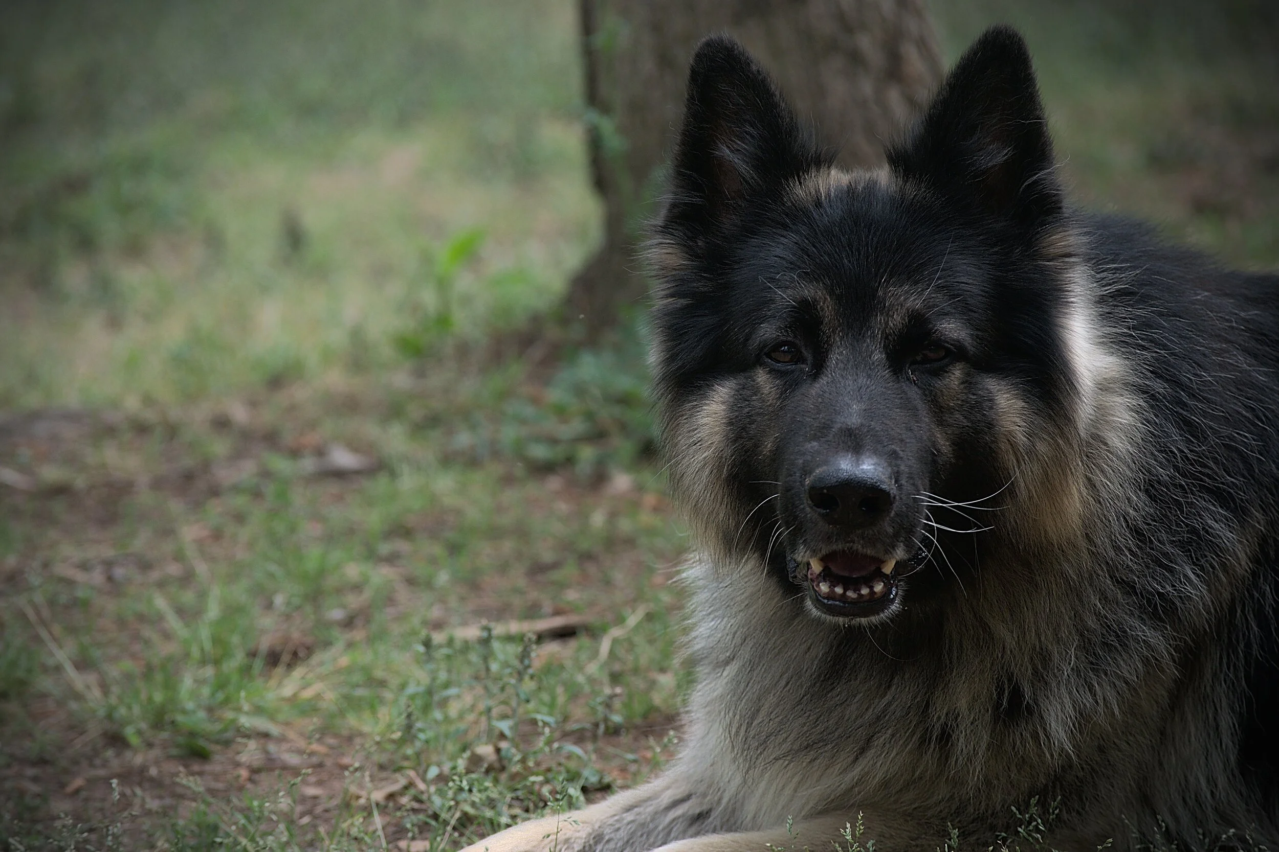 DSC_0021.jpg