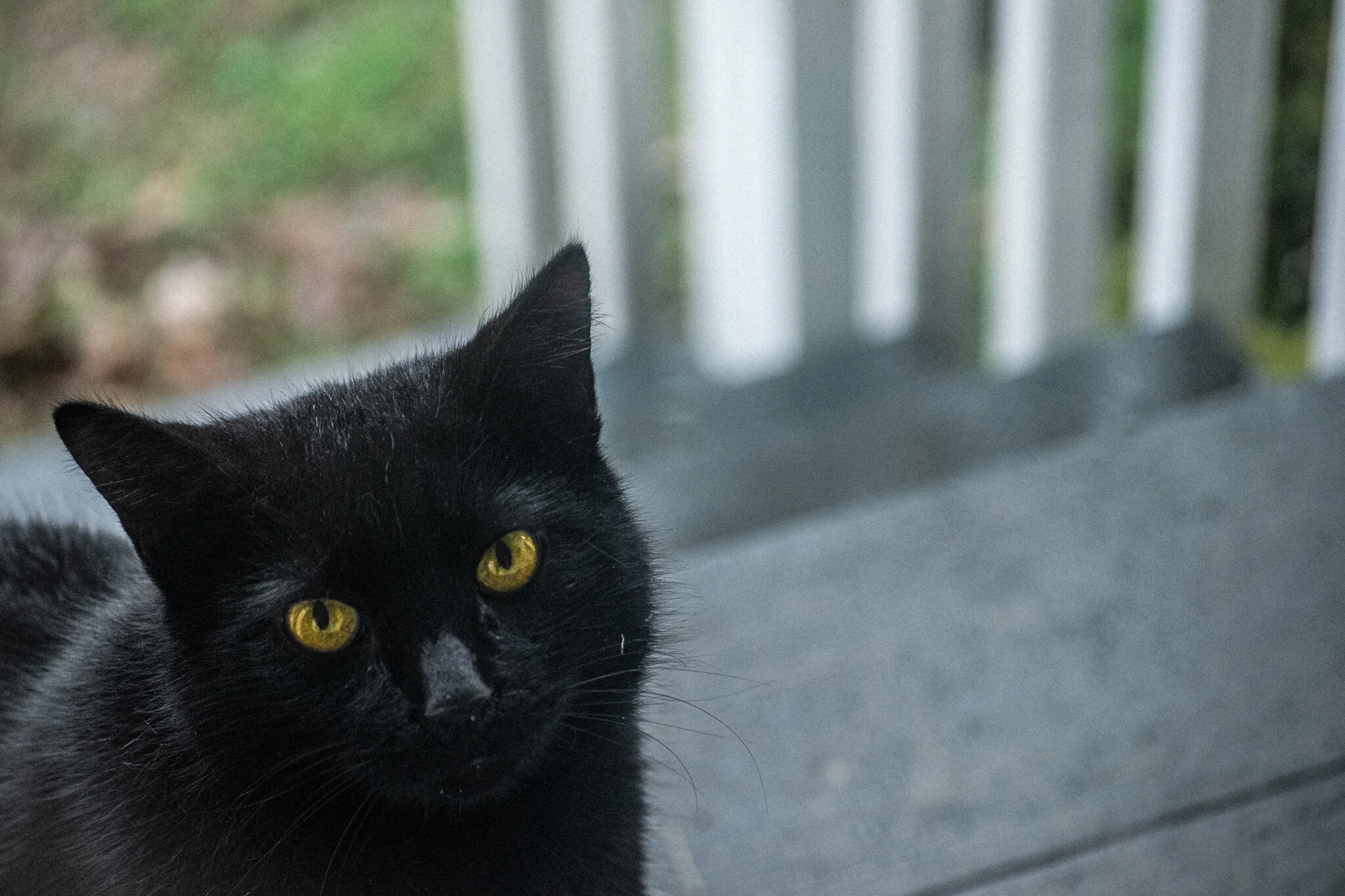 DSC_0559.jpg