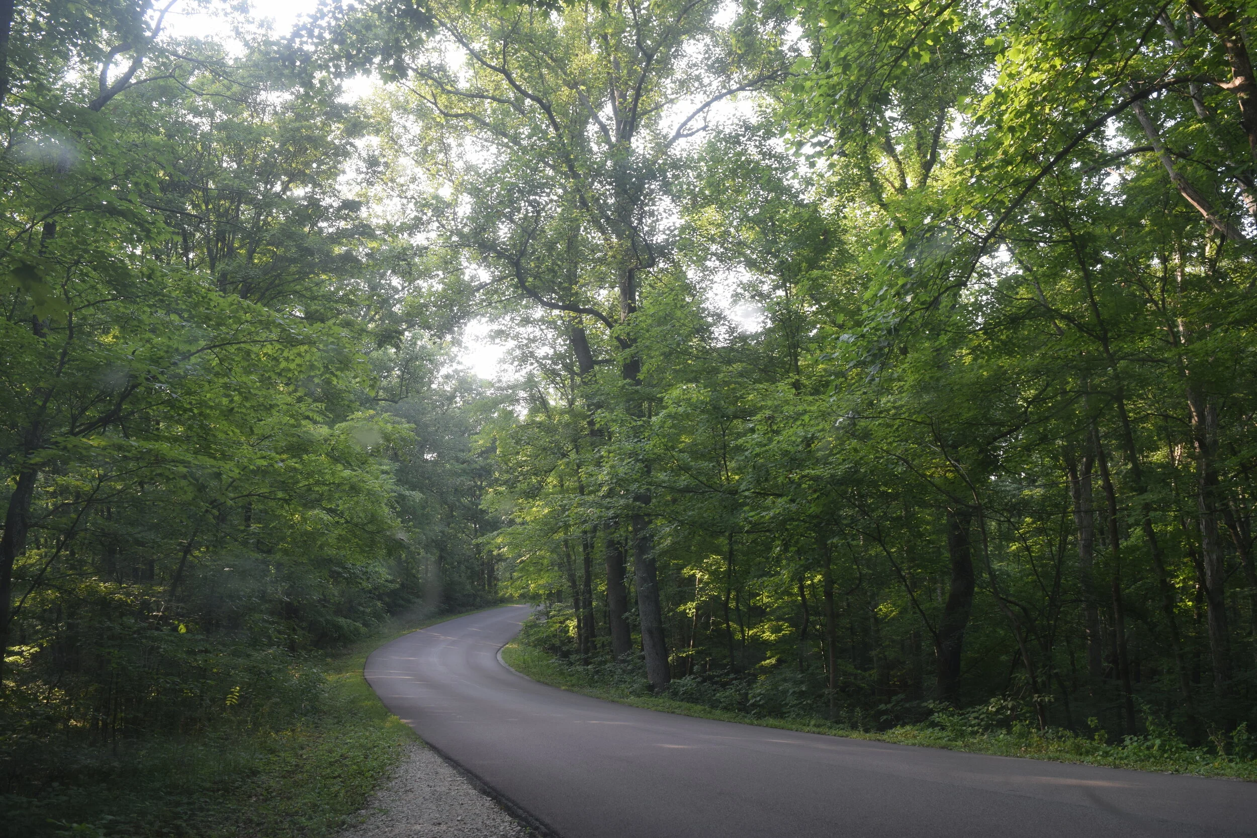 DSC_0221.JPG