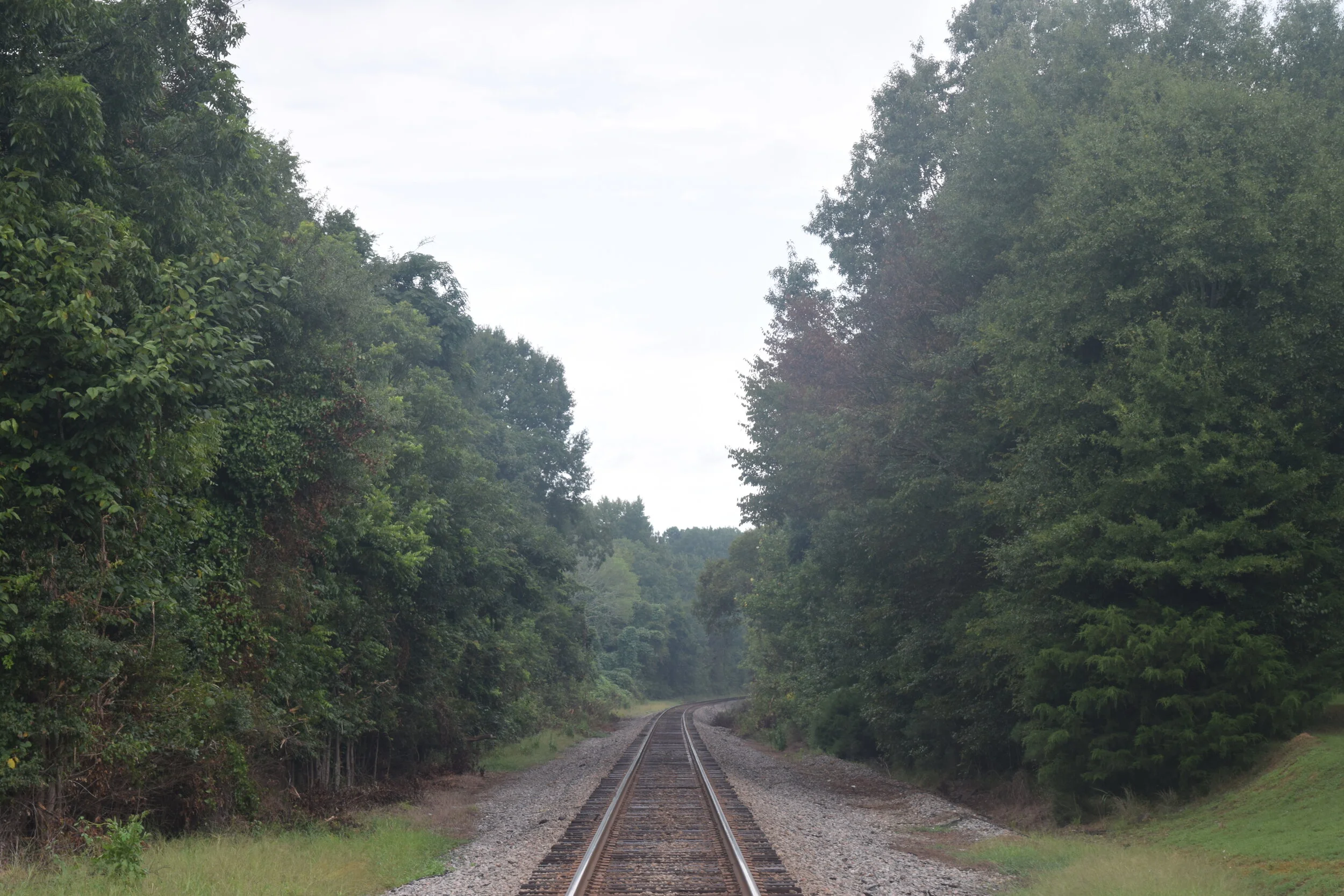 DSC_0384.JPG