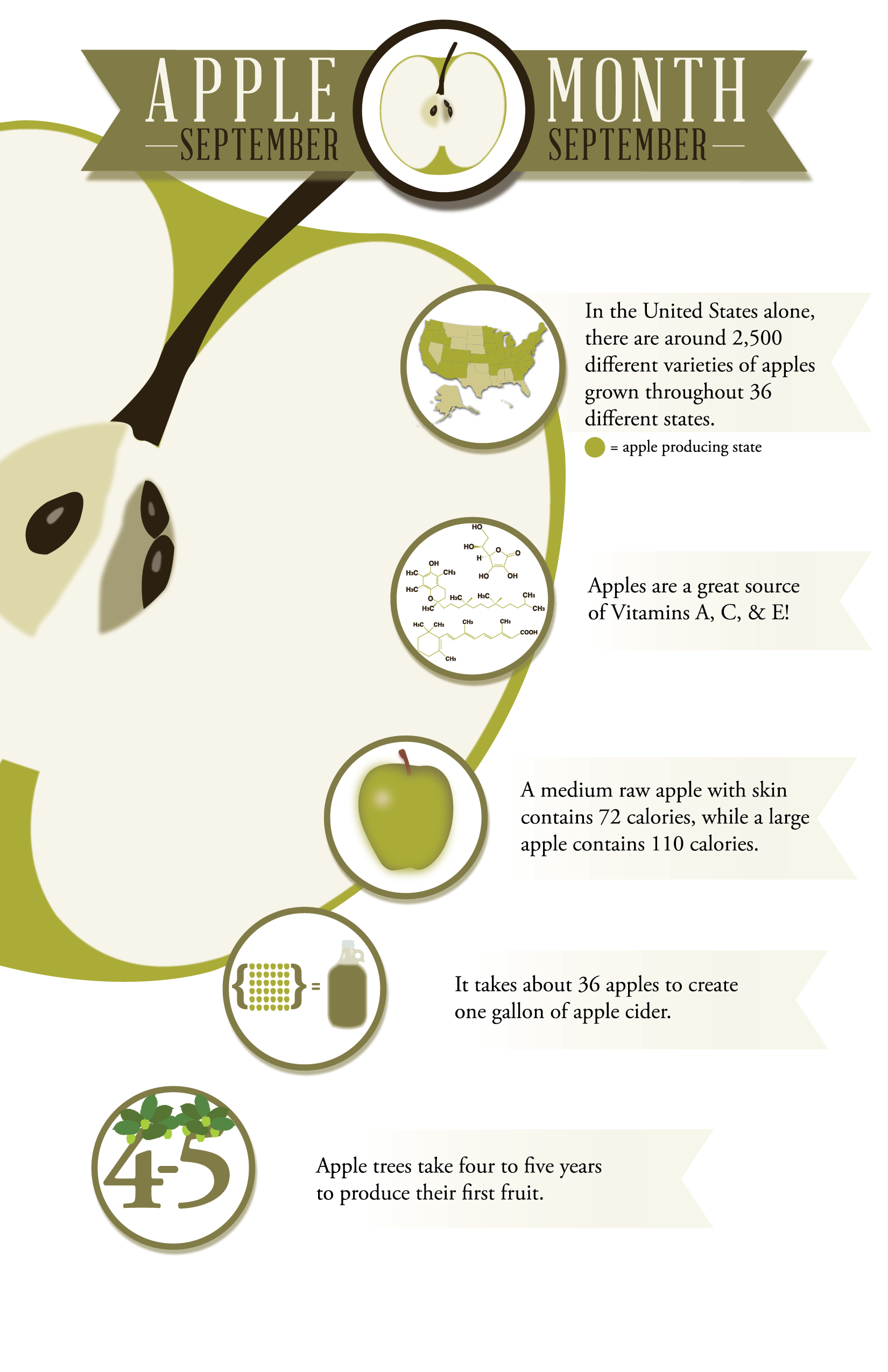 split apple-01.png