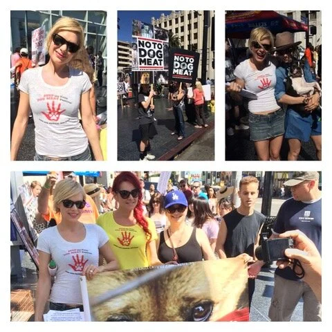 End “The Yulin Dog Meat Festival”