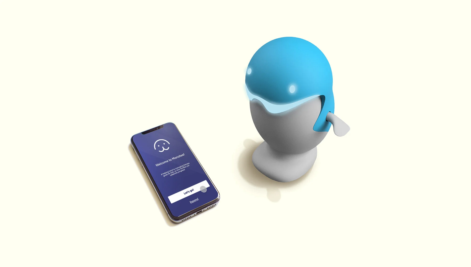 Manatee Project Cover backup image.jpg