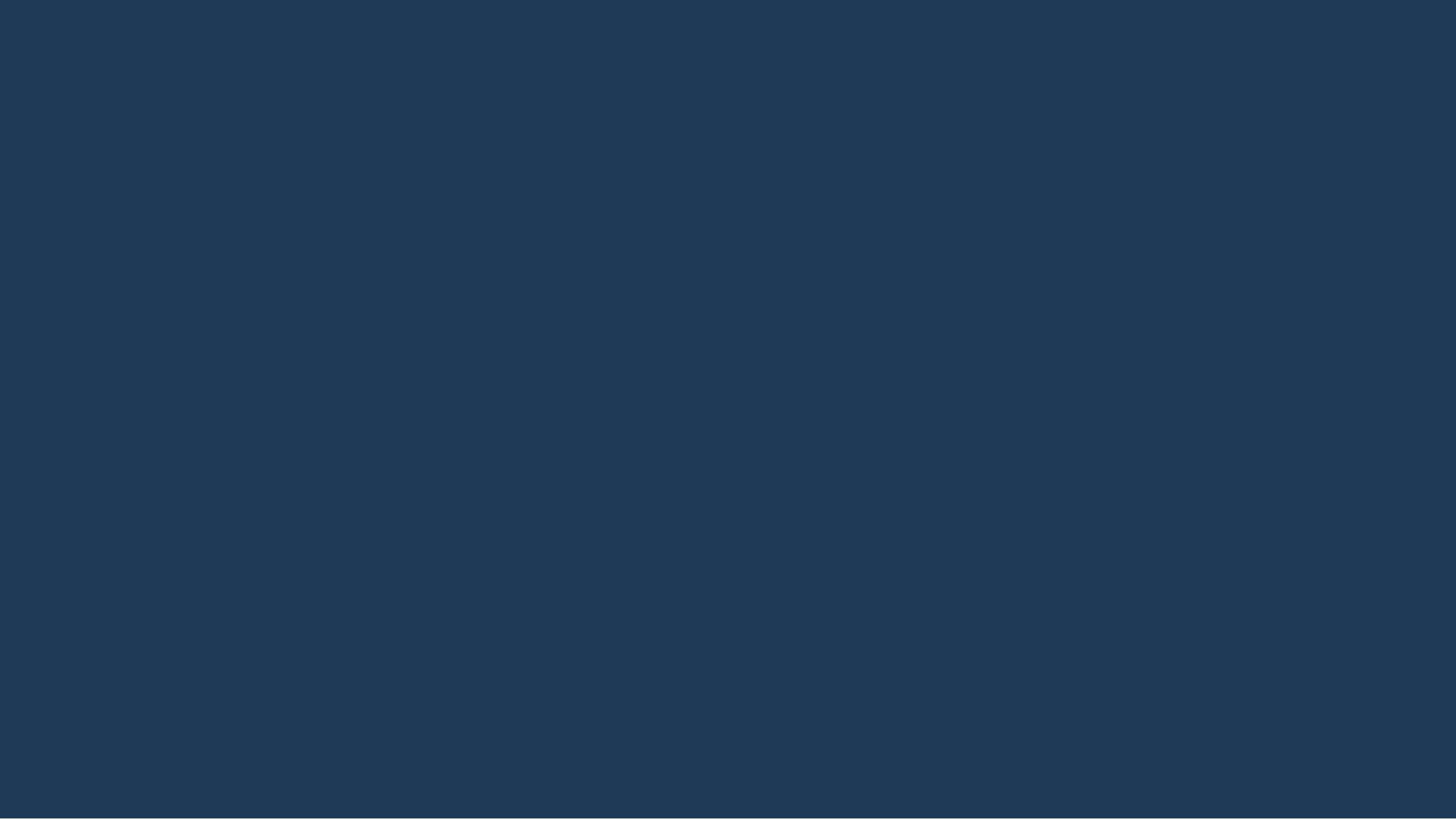#1f3a56.png