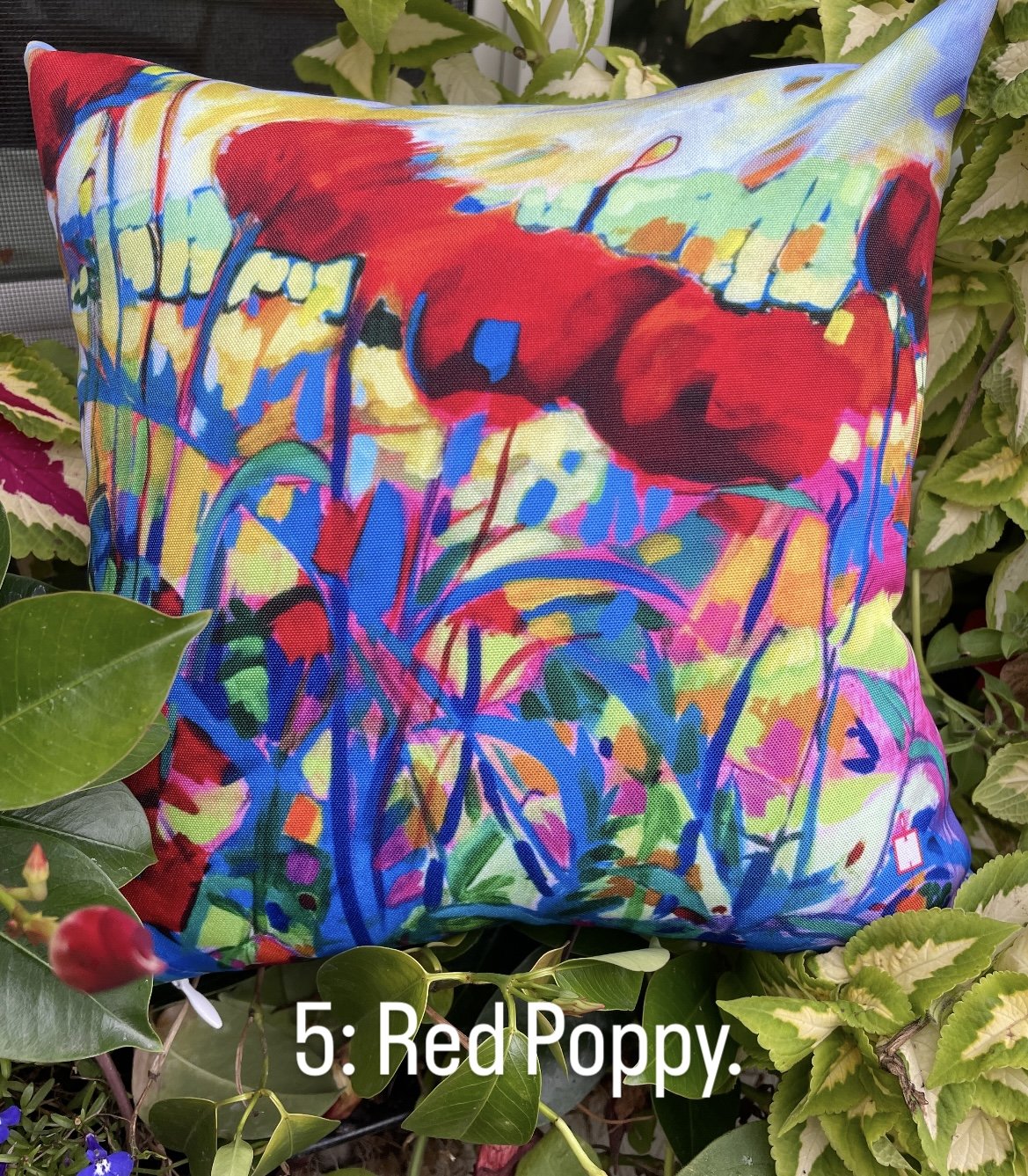 Pillow pop up red poppy jpg.jpg