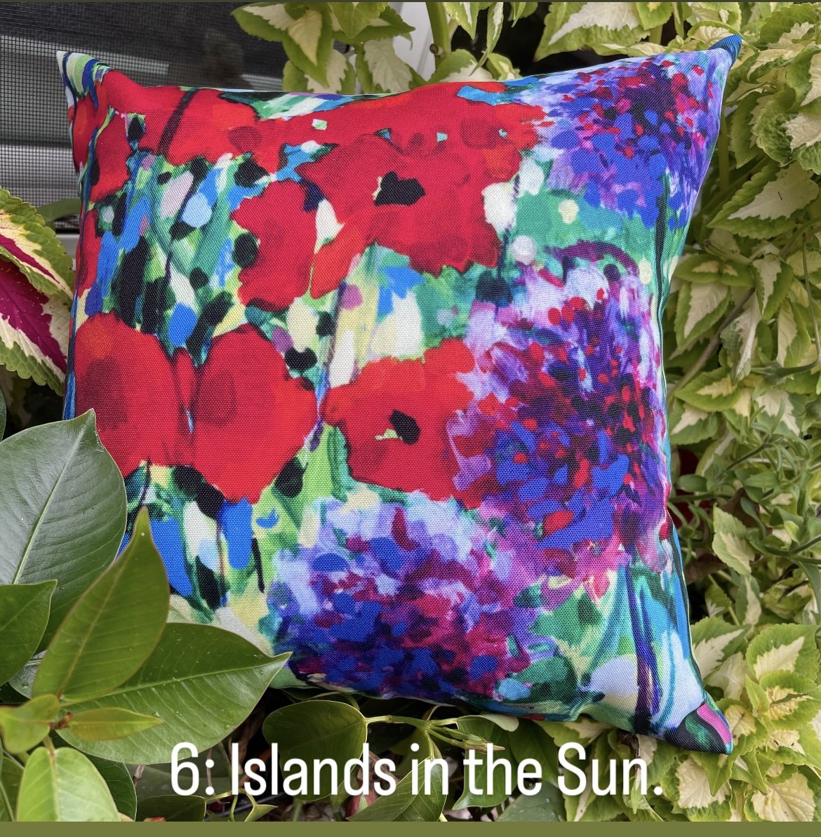 Pillow pop up islands in the sun alliums jpg.jpg