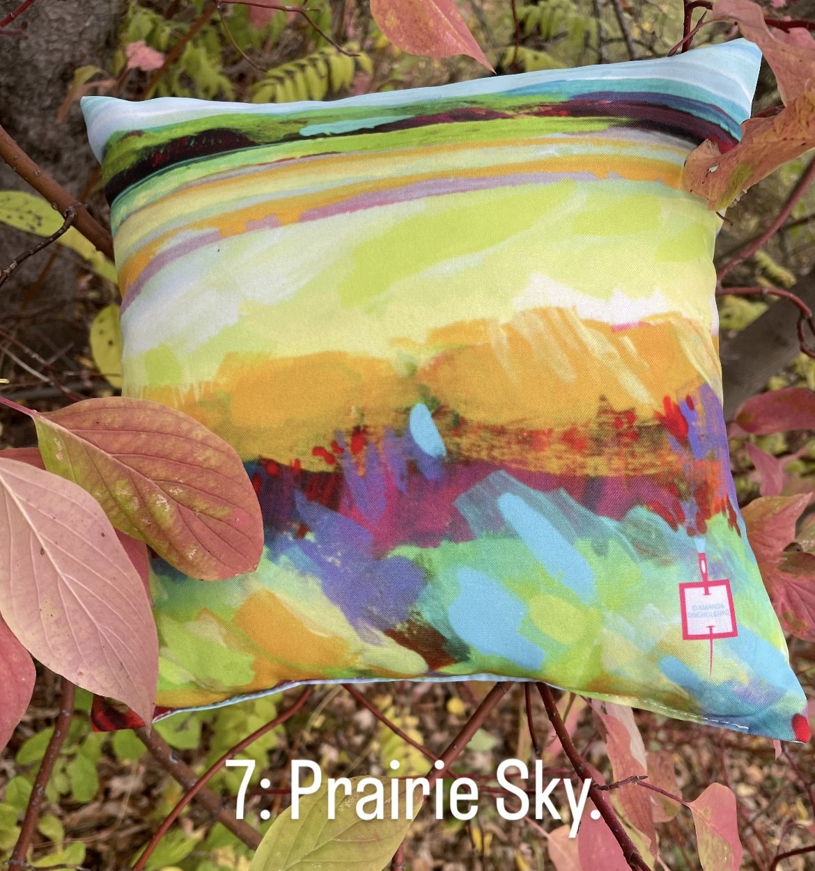 Pillow pop up prairie sky jpg.jpg