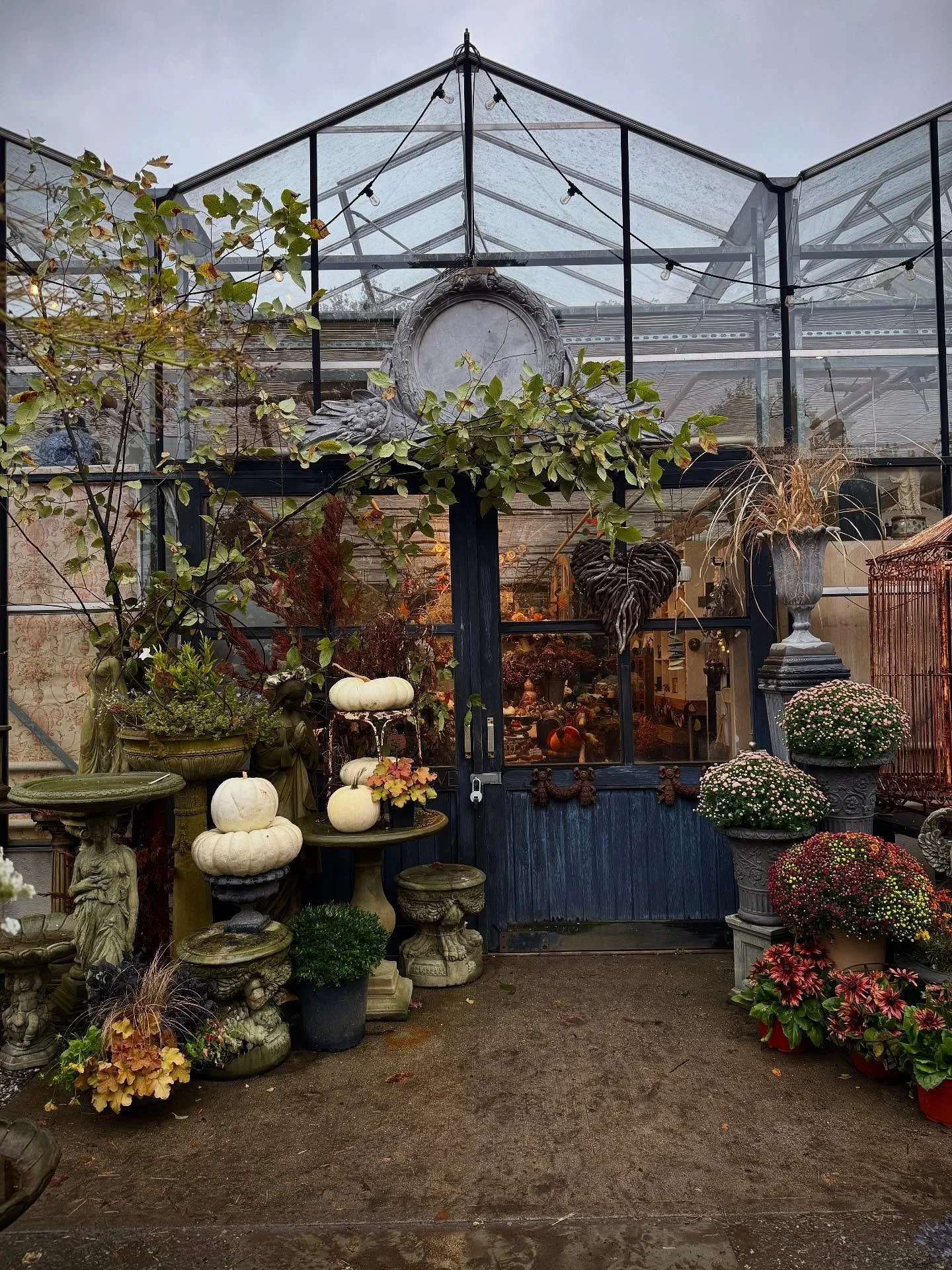 cozy days&hearts;️ 
#&hearts;️laserragardens
#laserraafterdark
#womanownedbusiness
#laserragardenscafe
#shopsmallbusiness
#comewander 
#festivegathering
#fall2025
#sunflowers
#shoplocal
#mums
#pumpkins
#microeventspace
#laserraafterdark
#gourds
#loui
