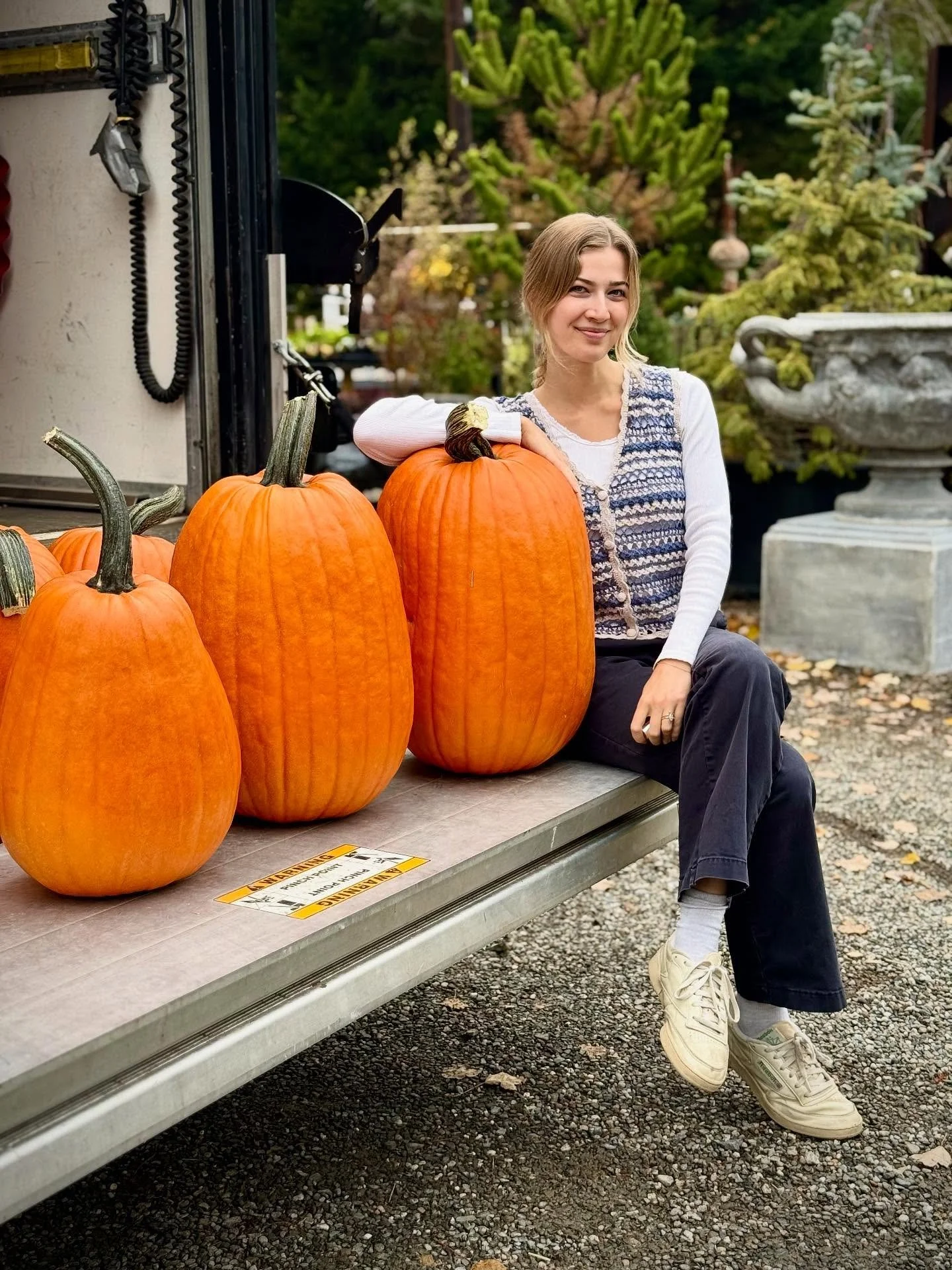 the most beautiful jack-o-lantern pumpkins have arrived just in time! they&rsquo;re HUGE! you&rsquo;ll have to come see it to believe it🎃. 
#&hearts;️laserragardens
#laserraafterdark
#womanownedbusiness
#laserragardenscafe
#shopsmallbusiness
#comewa