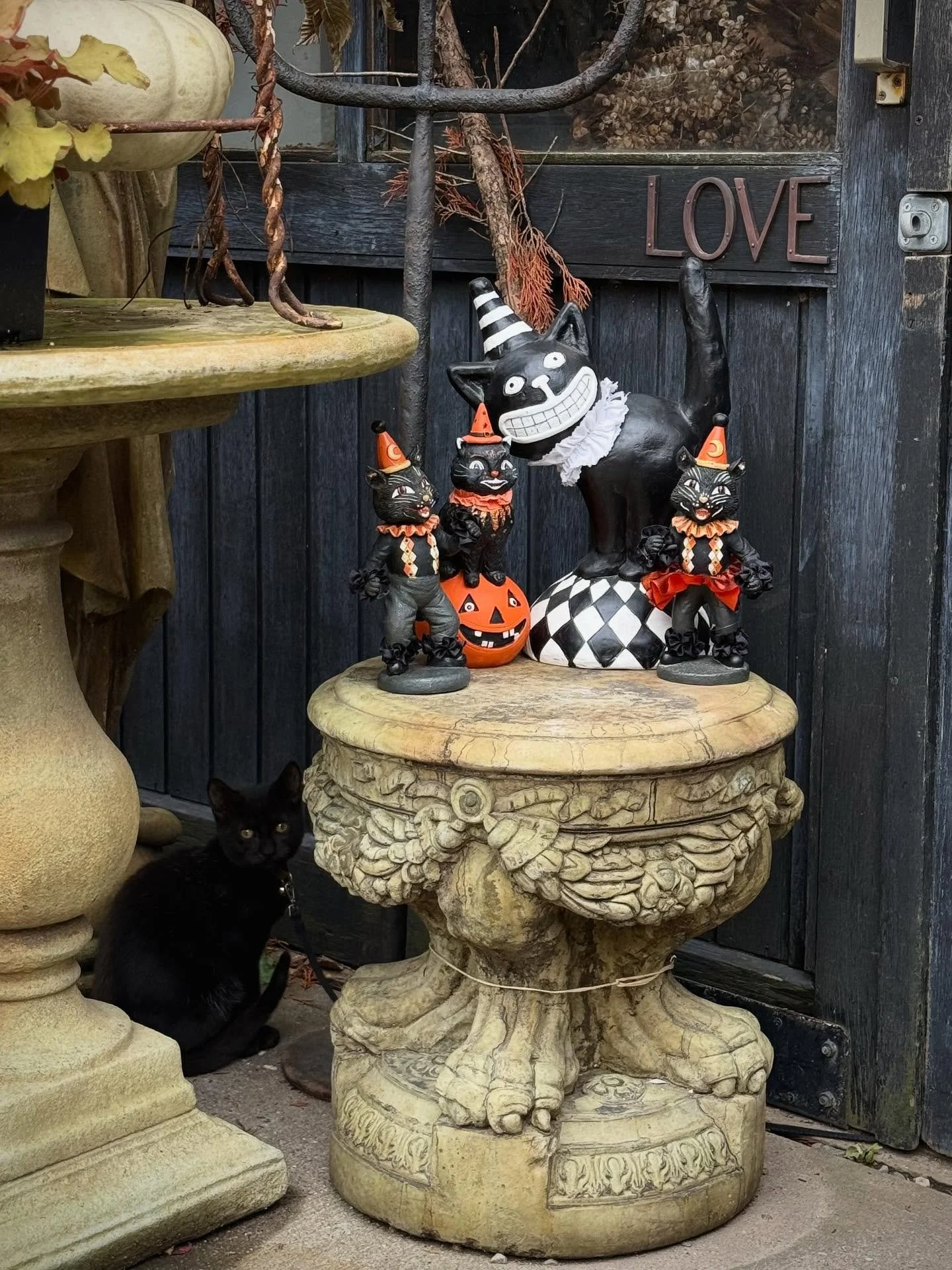 halloween sale highlights! don&rsquo;t miss 25% off select spooky merchandise. 
#&hearts;️laserragardens
#laserraafterdark
#womanownedbusiness
#laserragardenscafe
#shopsmallbusiness
#comewander 
#festivegathering
#fall2025
#sunflowers
#shoplocal
#mum