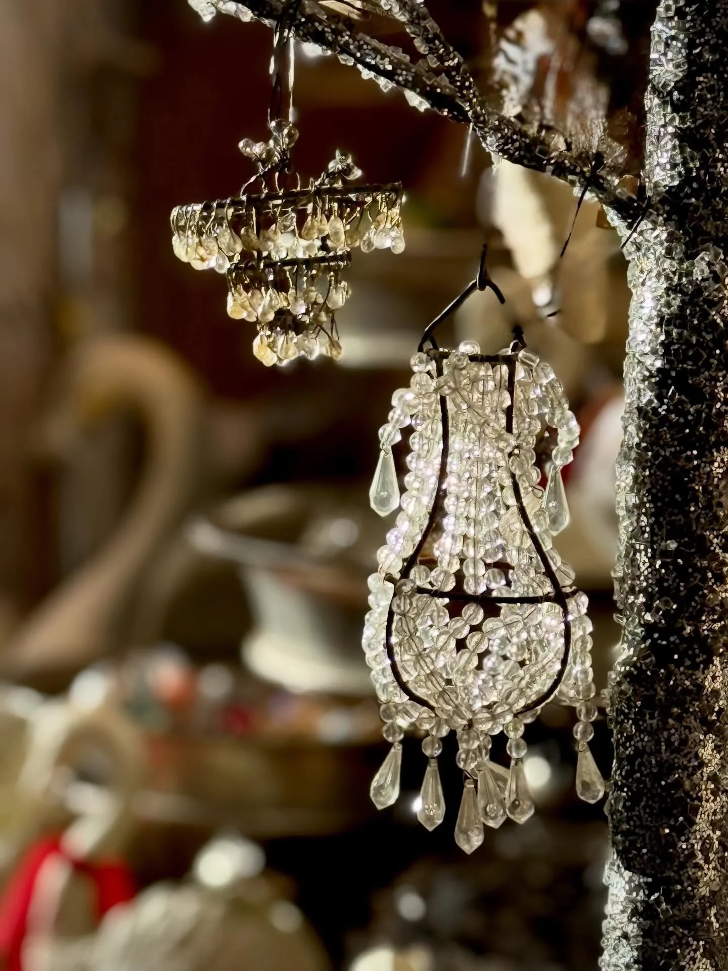 this the season to sparkle.✨ 
#&hearts;️laserragardens
#womanownedbusiness
#giftboutique
#shopsmallbusiness
#comewander