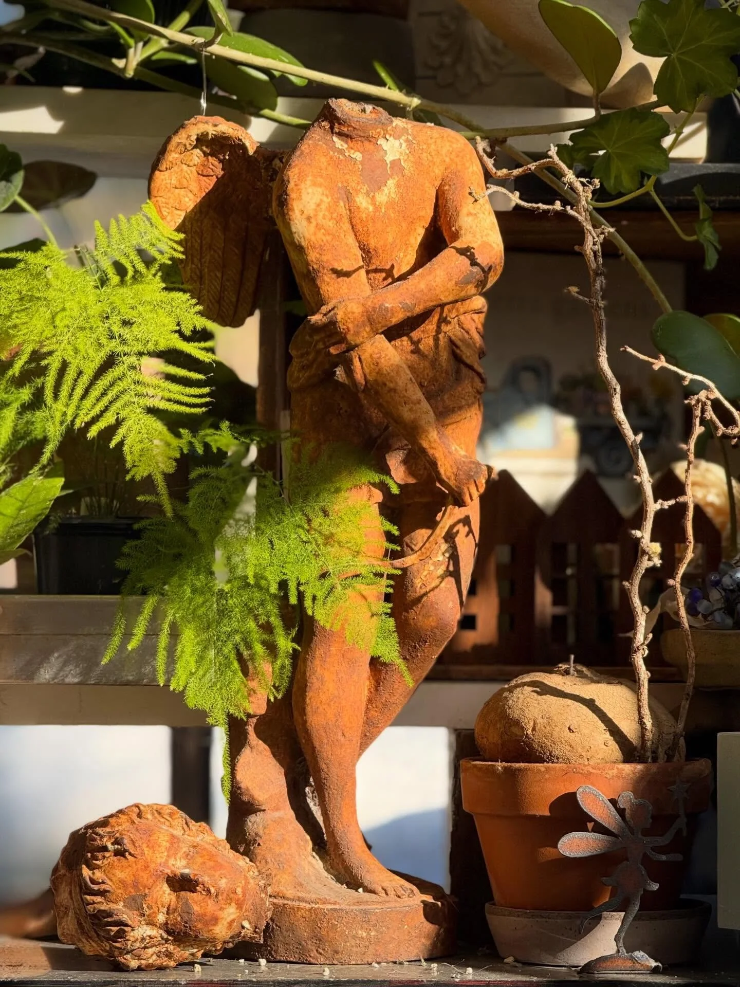 march is the quiet interval where the soul learns to wait for the bloom. 
#&hearts;️laserragardens
#womanownedbusiness
#giftboutique
#comewander
#grabandgoflorals