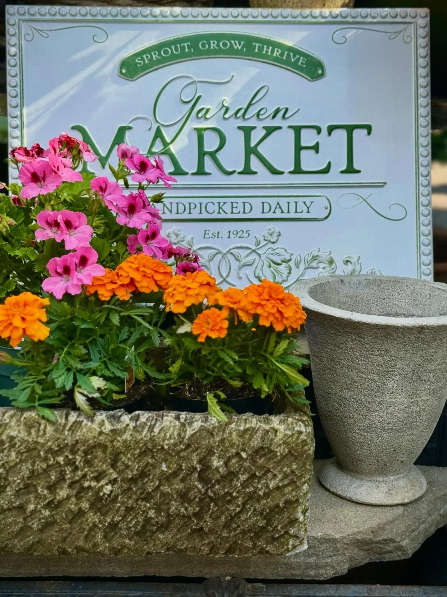 may has been a month of sunshine, happiness, and endless blessings. 

#&hearts;️laserragardens
#womanownedbusiness
#comewander
#njgardencenter
#laserraafterdark
