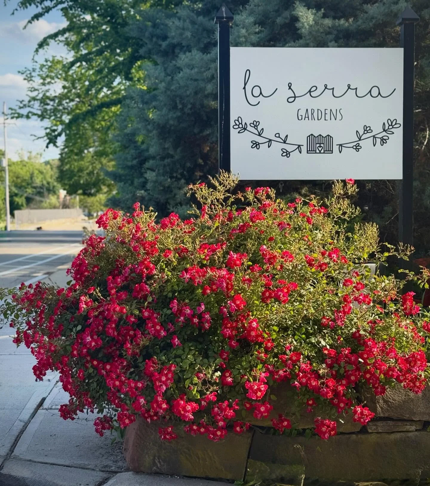 happy times and lots of sunshine, goodbye may 2026! feeling grateful for all the new faces and thankful for our regulars&hearts;️

#&hearts;️laserragardens
#womanownedbusiness
#comewander
#njgardencenter
#laserraafterdark